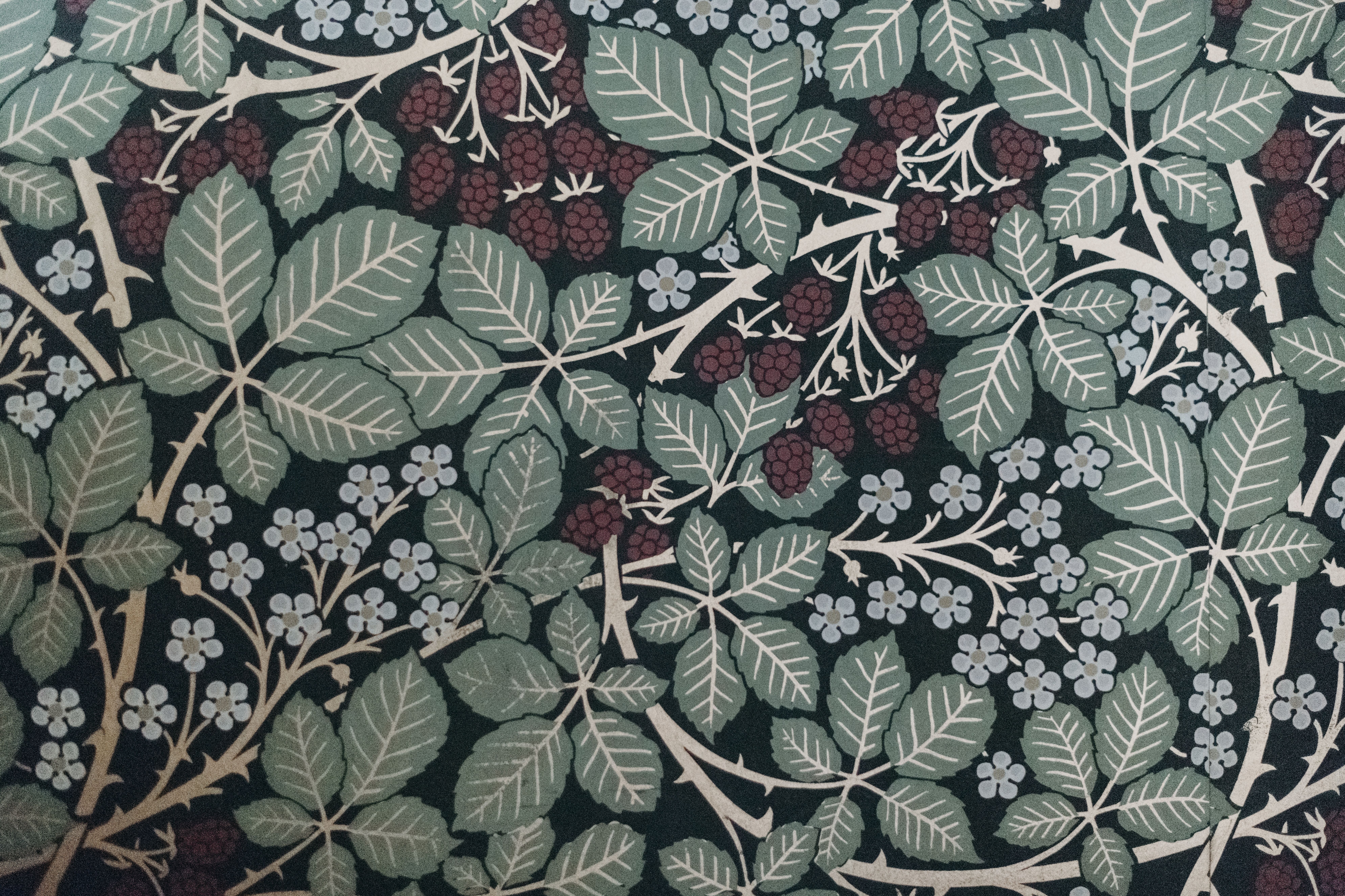 Blackberry and Leaf Pattern with Maroon Berries HD Wallpaper