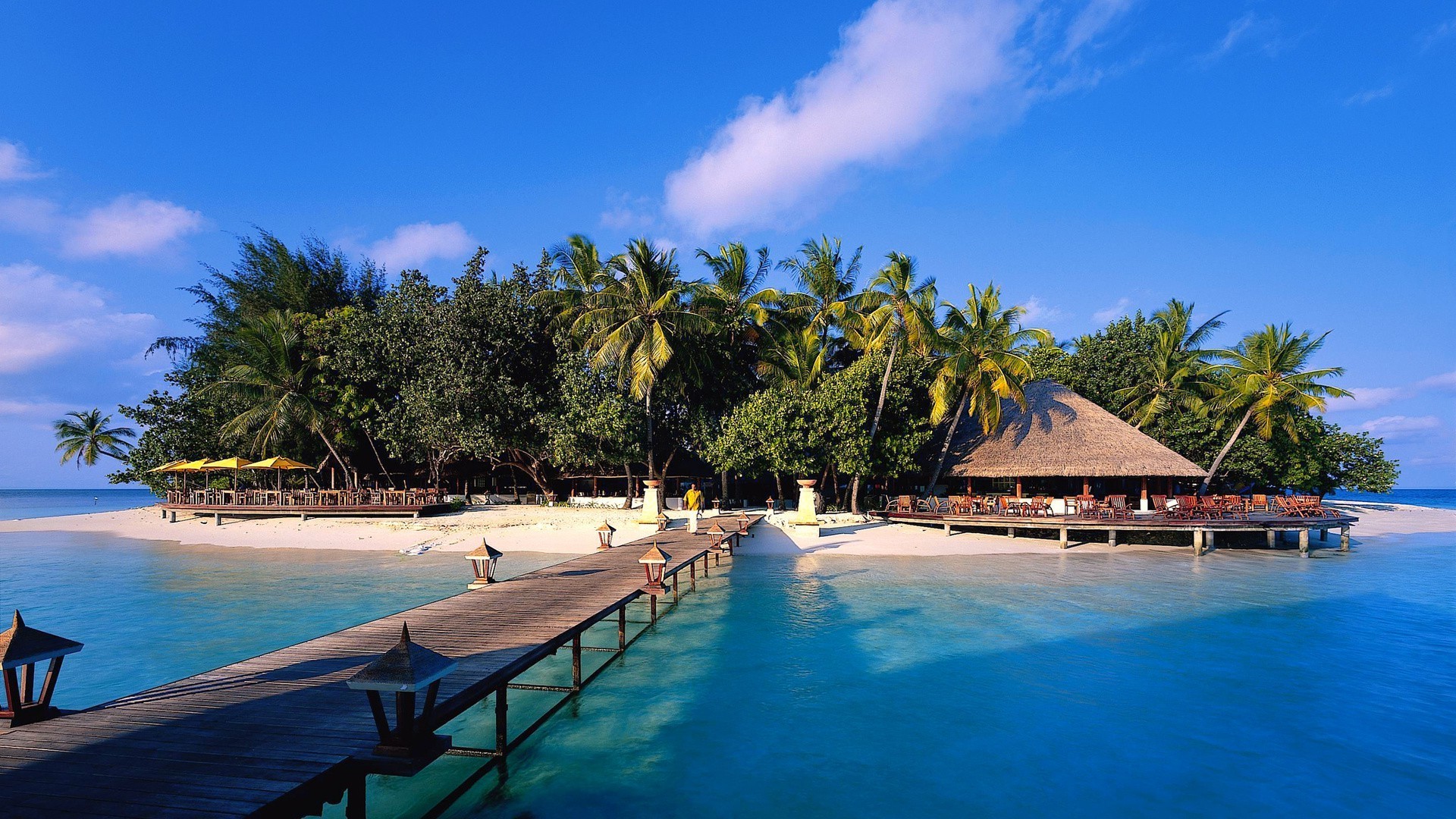 Tropical island resort with overwater bungalows and palm trees HD Wallpaper