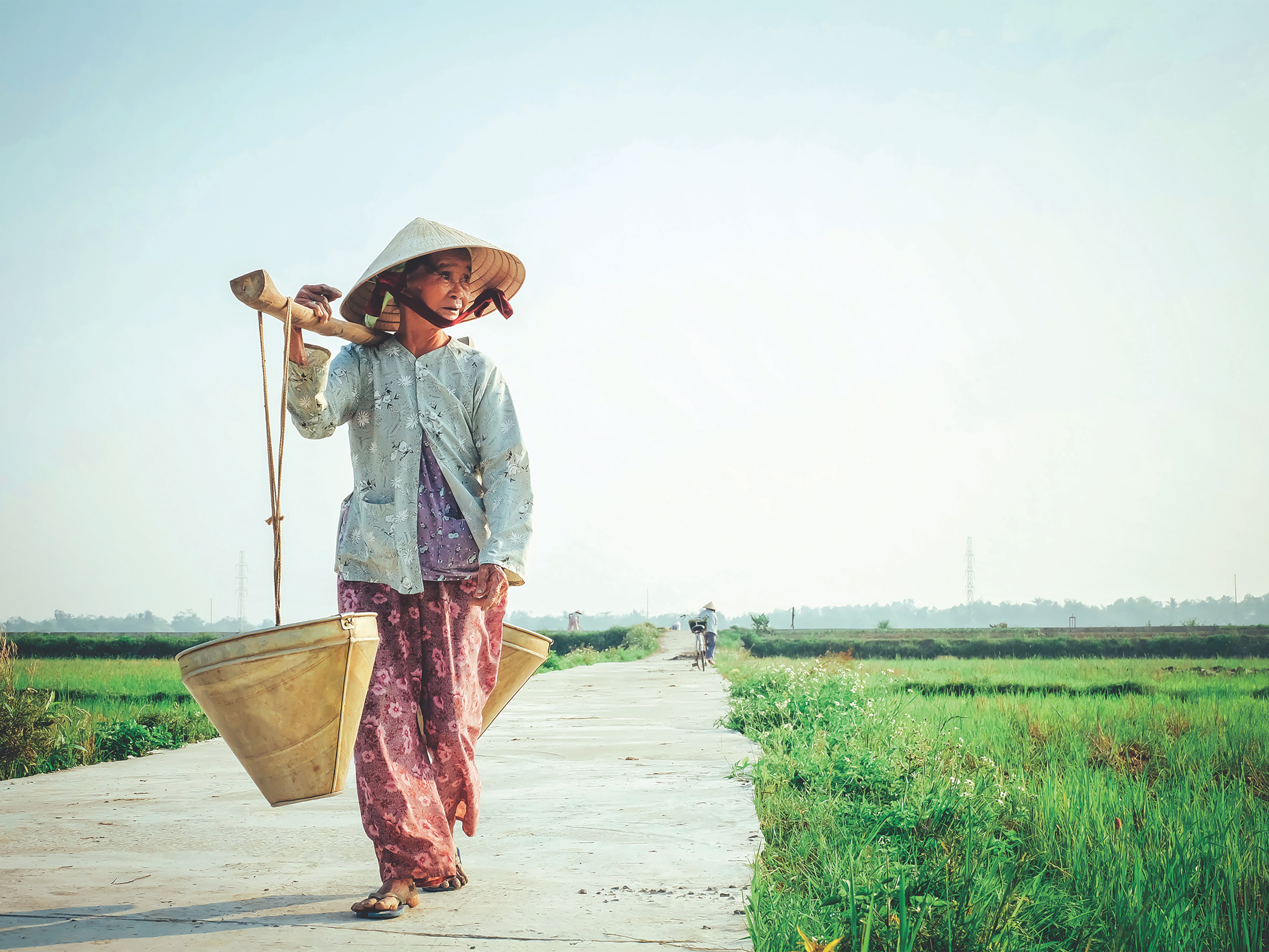 Vietnamese Woman Carrying Water in Traditional Hat HD Wallpaper
