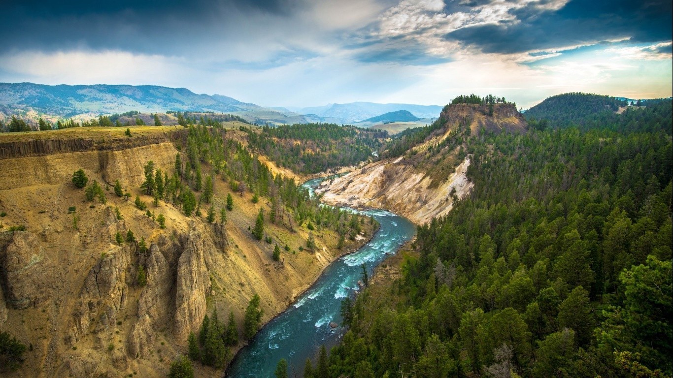 River Winding Through Yellowstone National Park Canyon HD Wallpaper