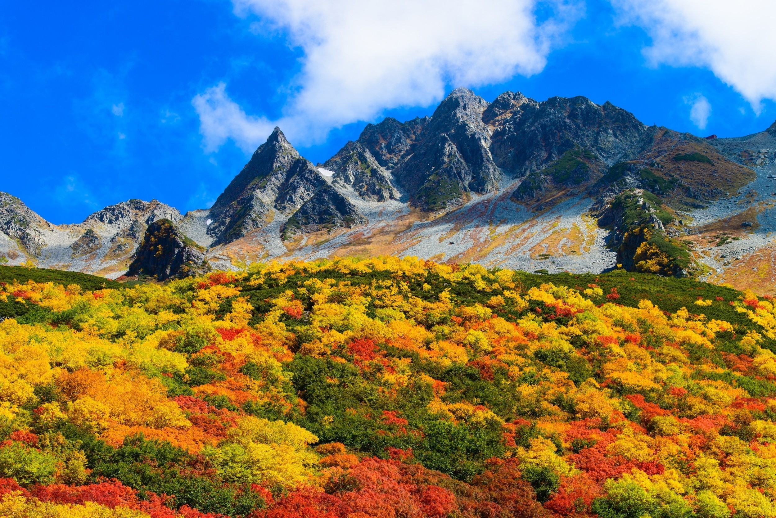Autumn mountain landscape with colorful shrubs and blue sky HD Wallpaper