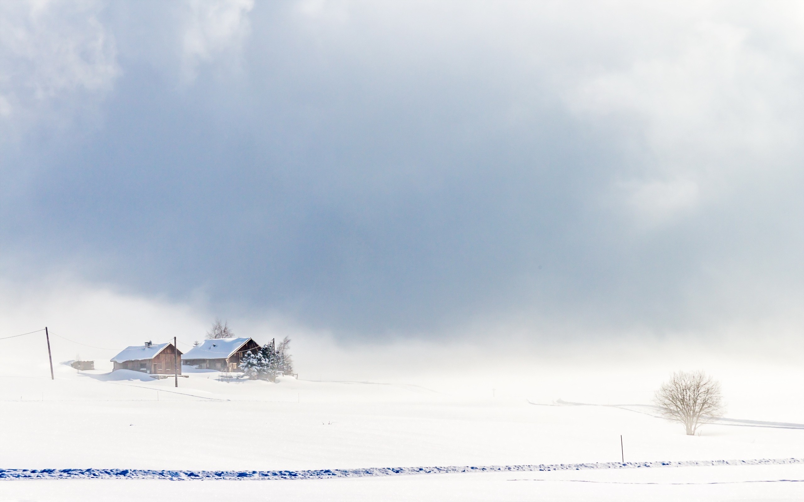 Snowy landscape with cabins and a bare tree HD Wallpaper