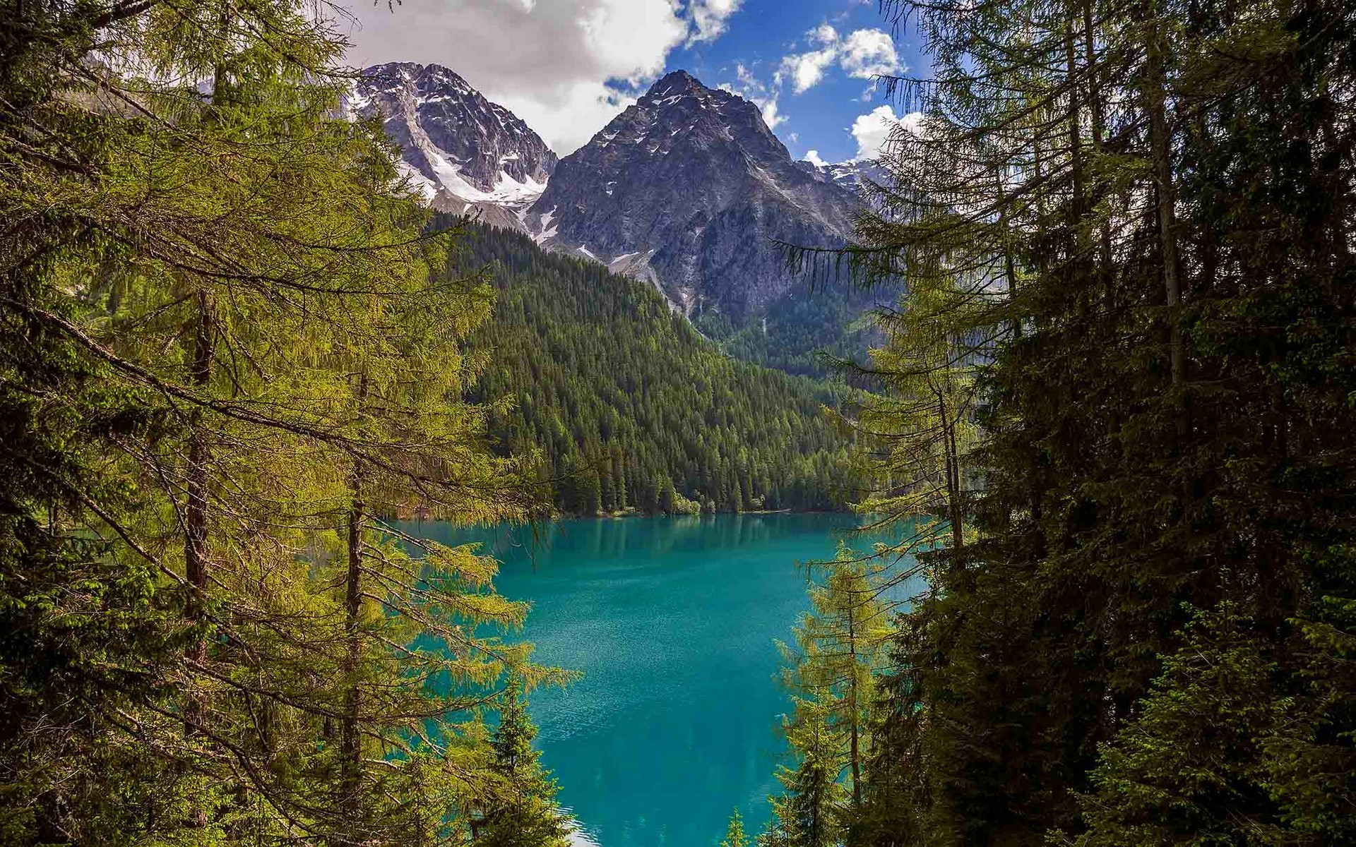 Turquoise lake surrounded by forest and mountains HD Wallpaper