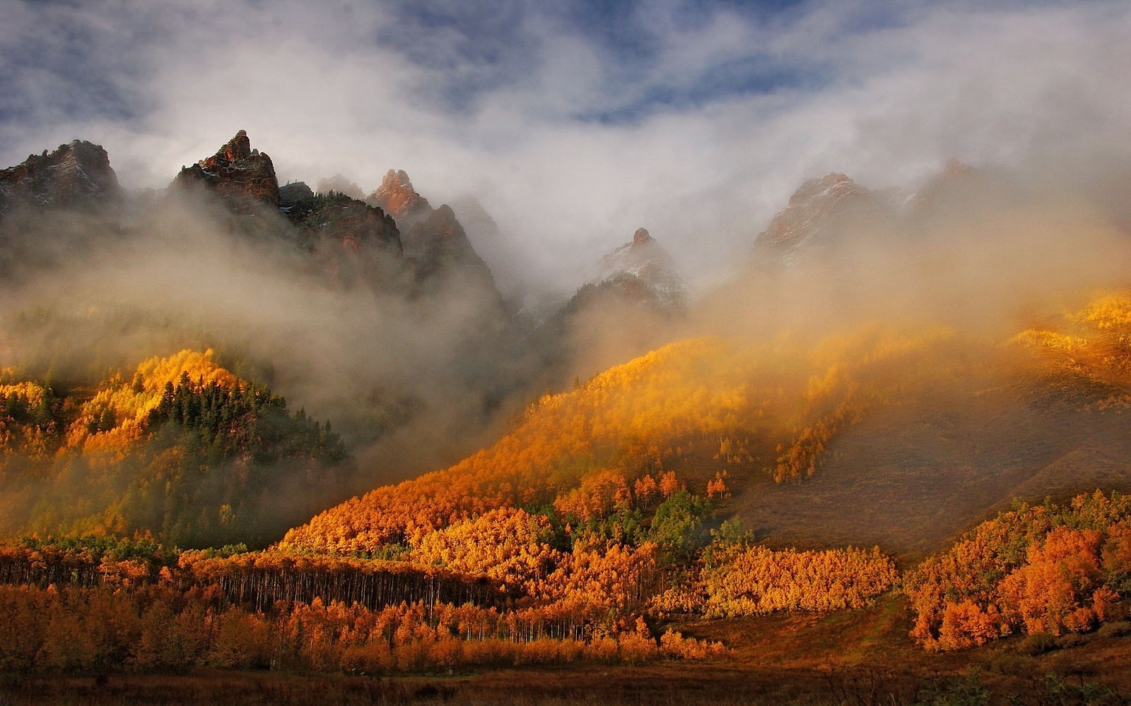 Autumn mountain landscape with mist and golden trees HD Wallpaper