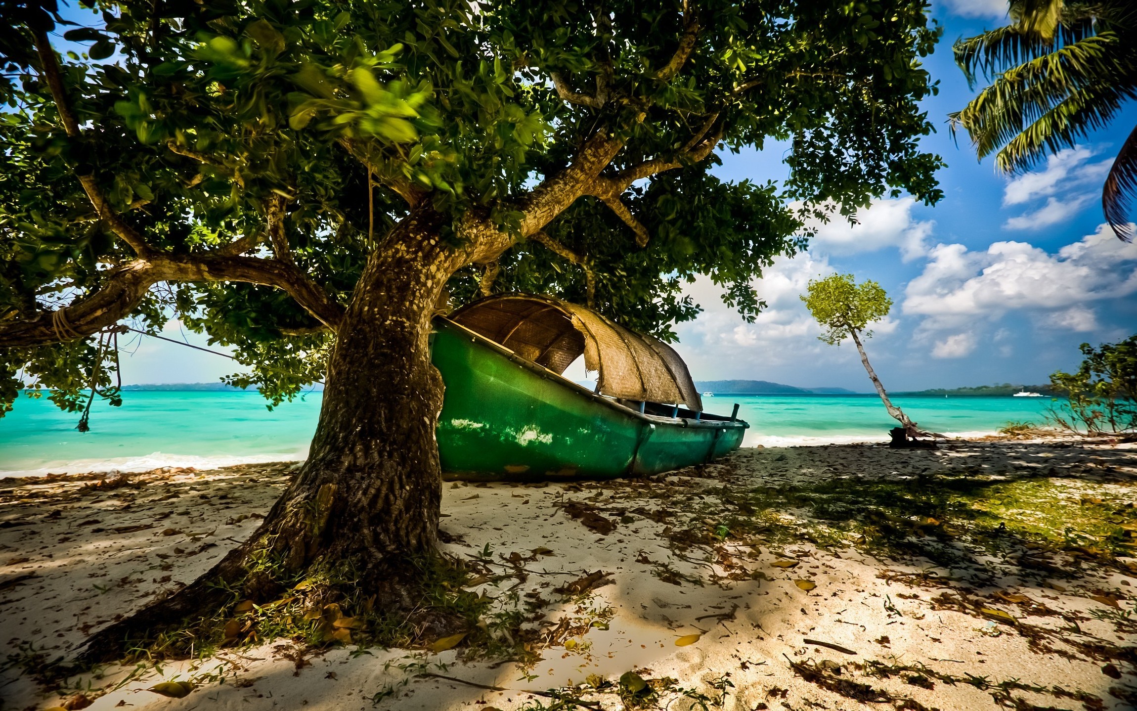 Tropical island beach with a green boat under a tree HD Wallpaper