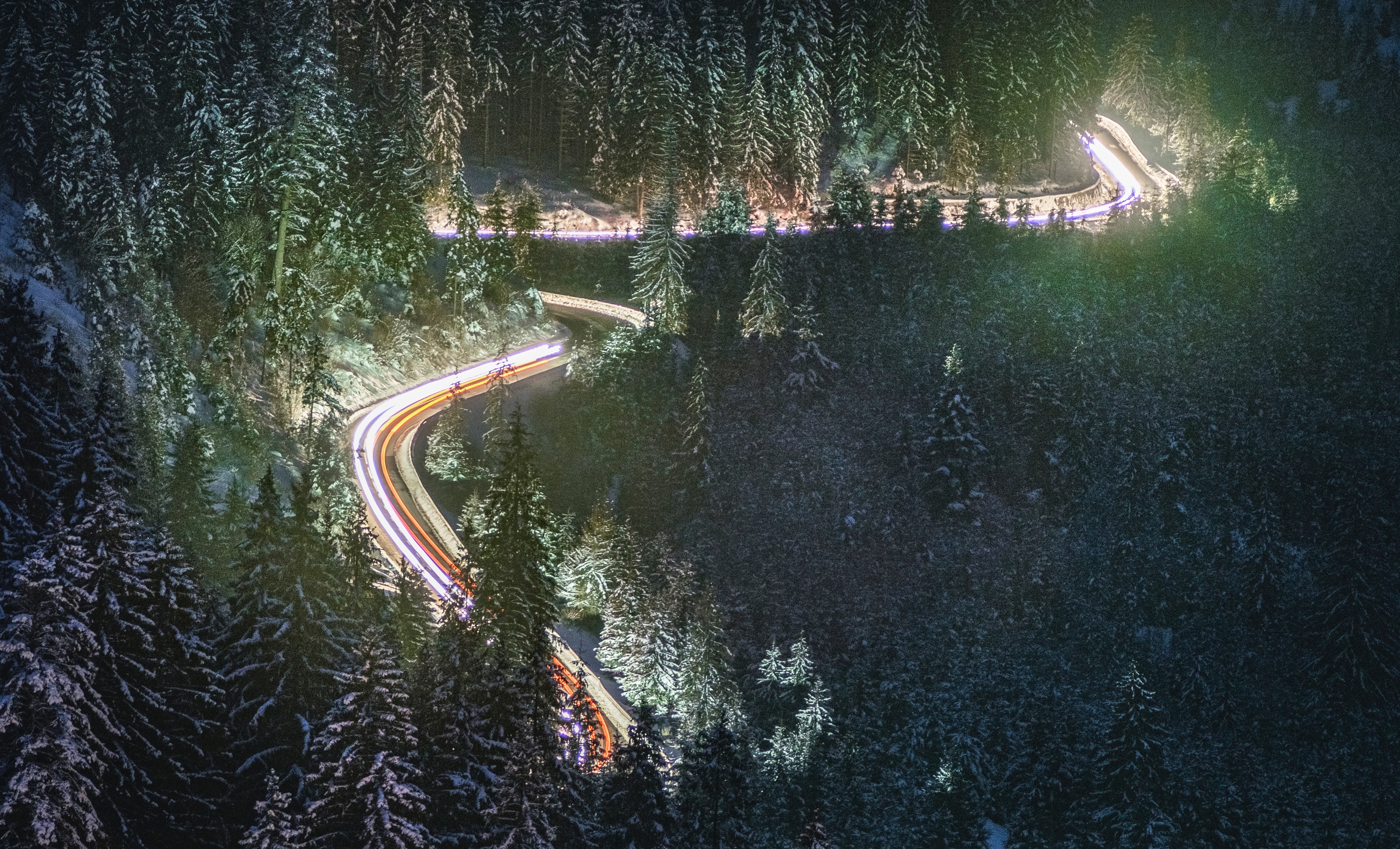 Long exposure of a snowy forest road at night HD Wallpaper