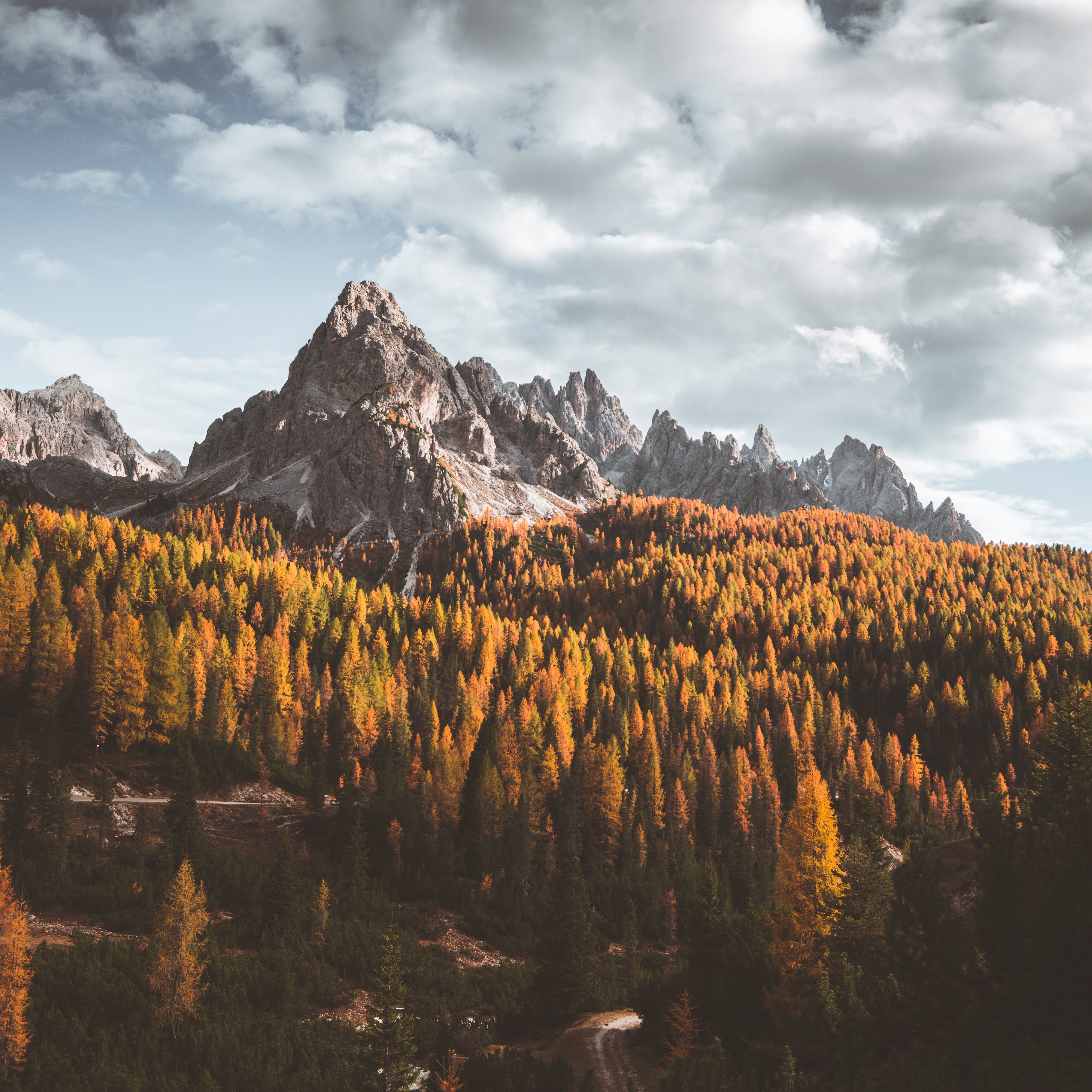 Autumn forest and mountains in South Tyrol, Italy HD Wallpaper