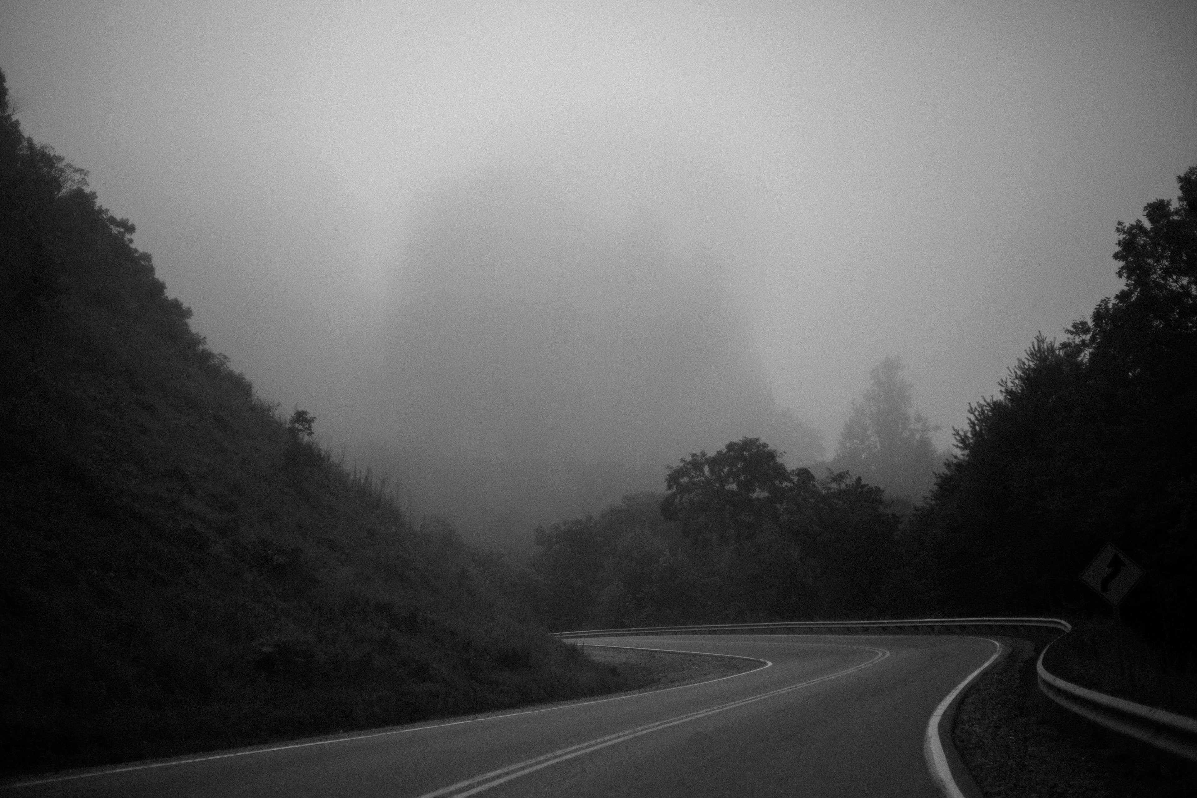 Winding road through a foggy forest HD Wallpaper