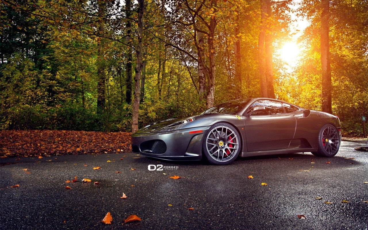 Ferrari F430 parked in autumn forest HD Wallpaper