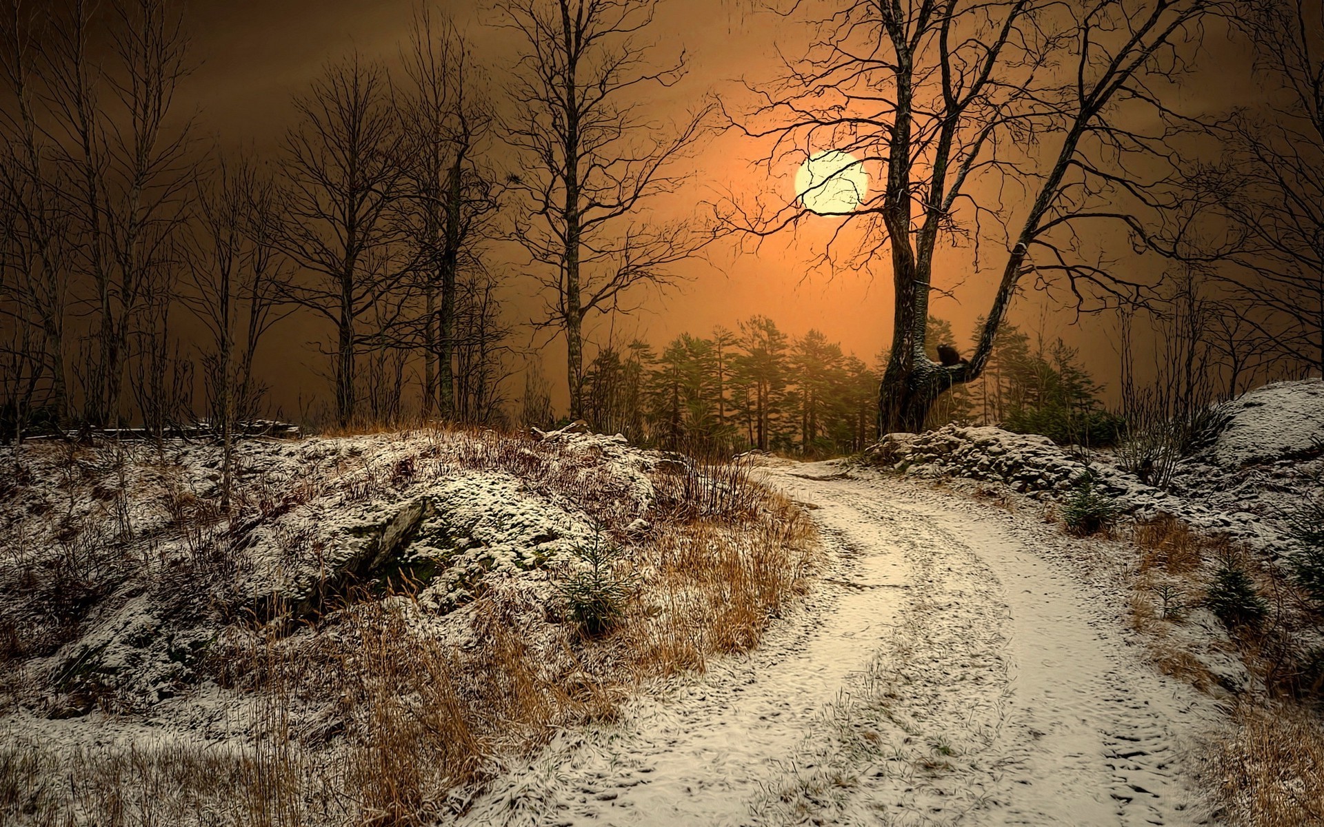 Winter Dirt Road in Norway Under Sunlight HD Wallpaper