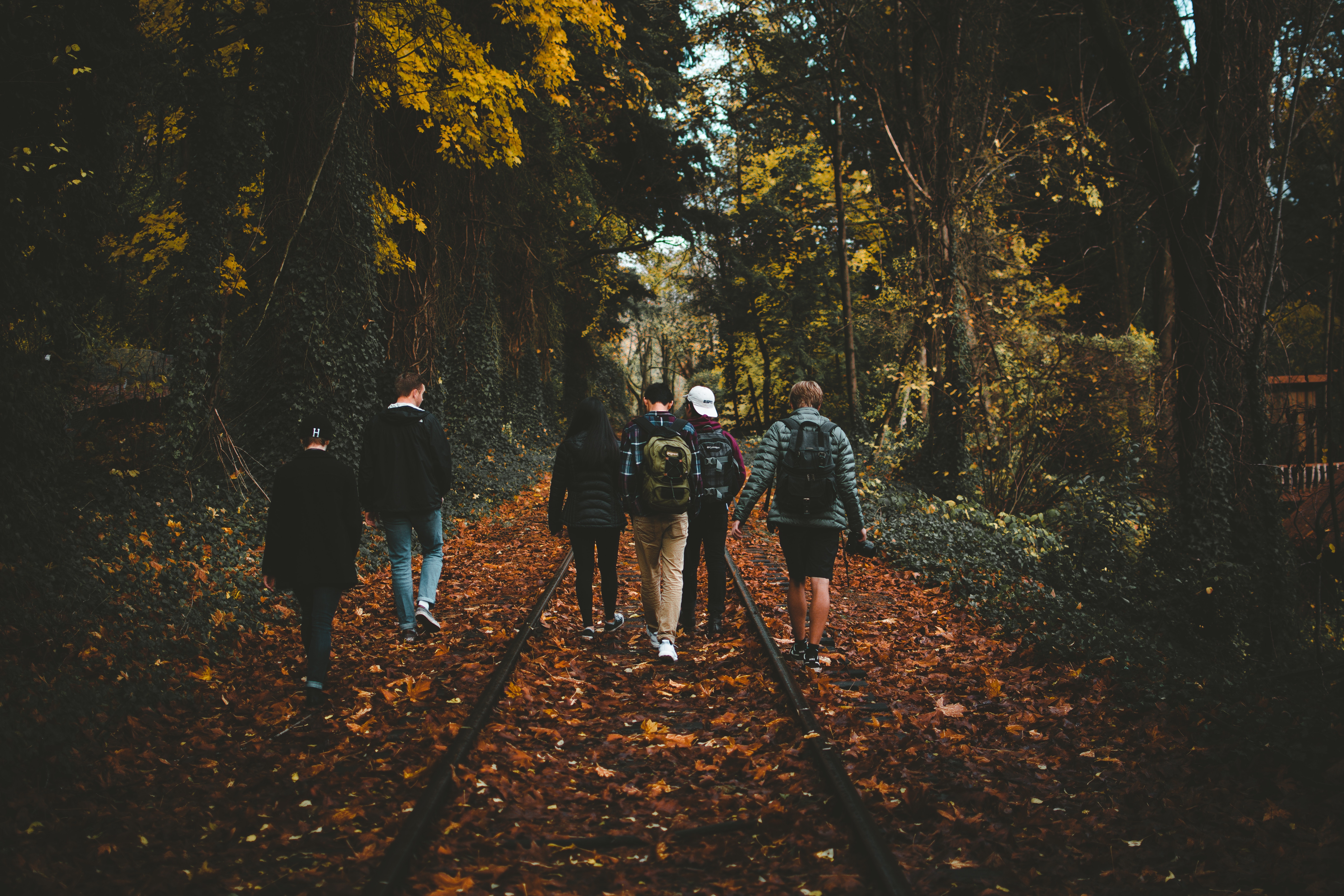 Group of friends walking on train tracks in autumn forest HD Wallpaper