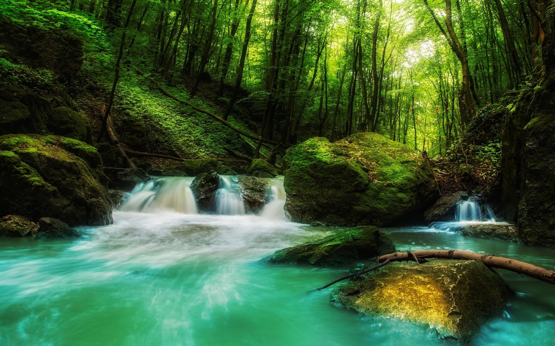 Serene Forest Waterfall with Moss-Covered Rocks HD Wallpaper