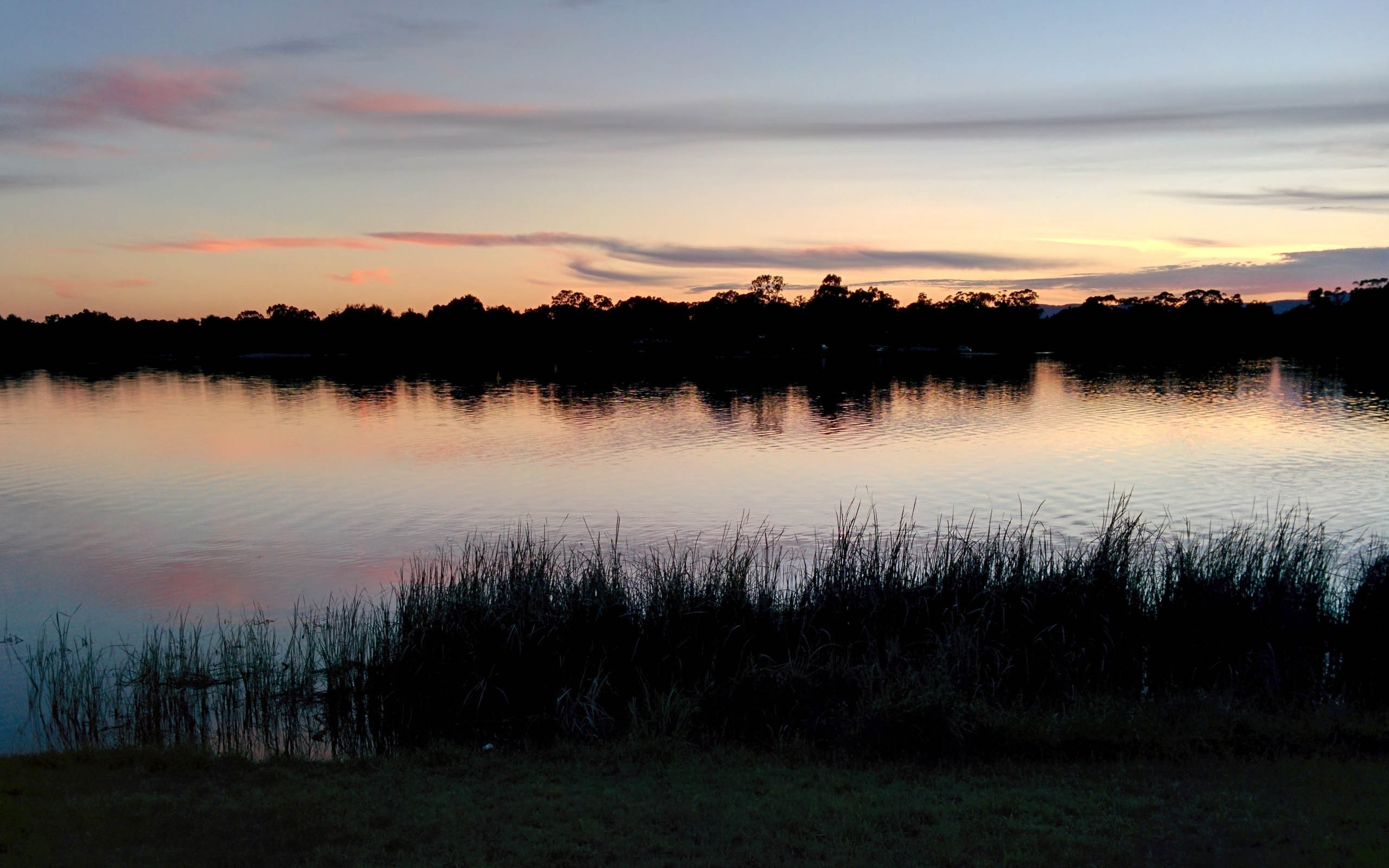 Lake at sunset with silhouetted trees and reeds HD Wallpaper