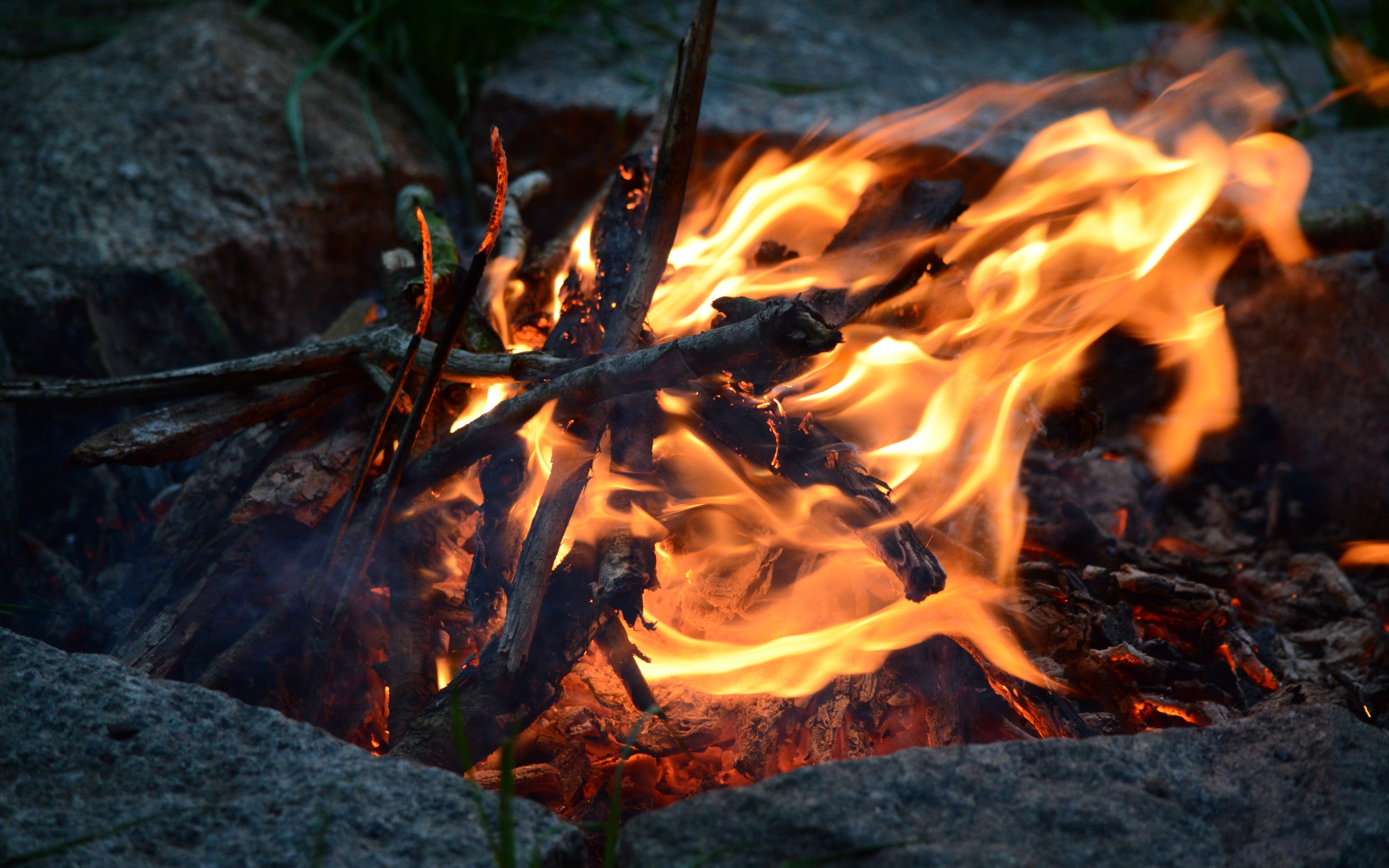 Campfire burning with wood and rocks HD Wallpaper