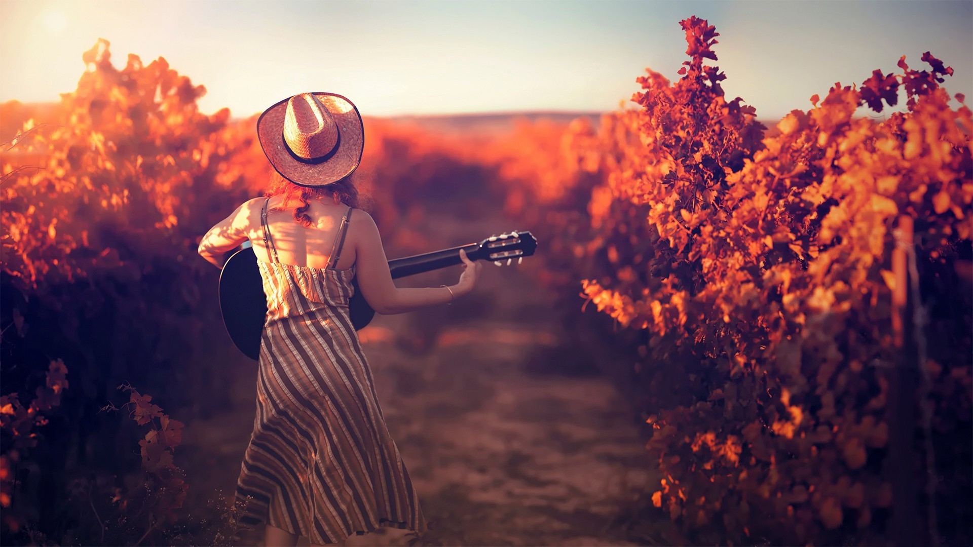 Woman in hat playing guitar in vineyard at sunset HD Wallpaper