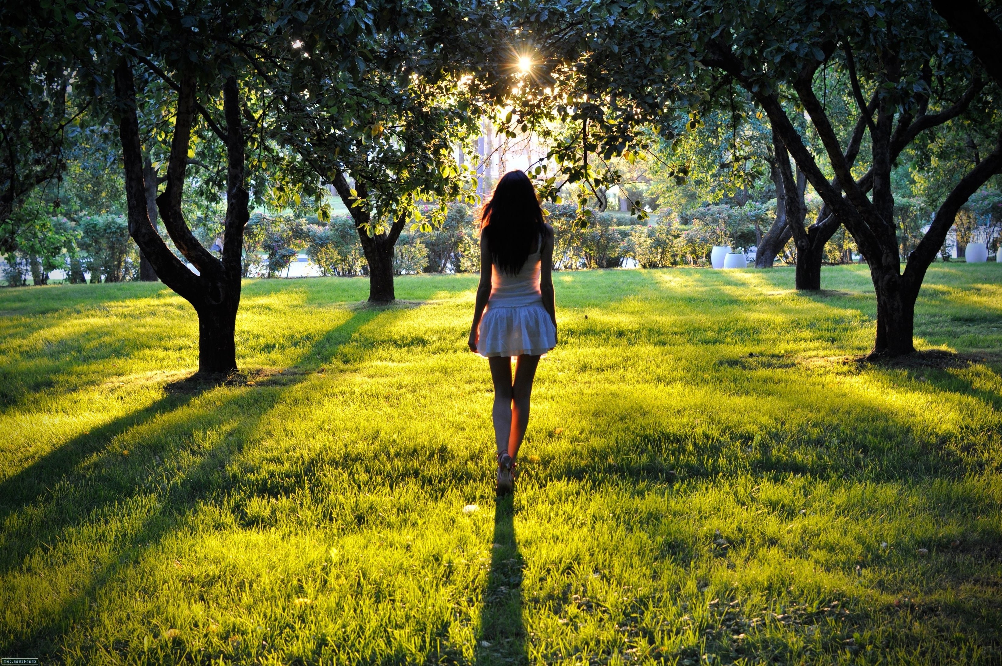 Woman in white dress walking in a sunlit park HD Wallpaper