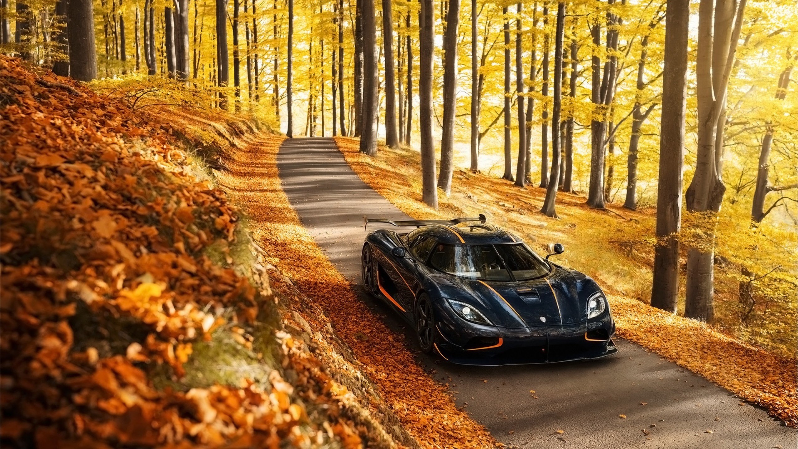 Koenigsegg Agera car on a road in autumn forest HD Wallpaper