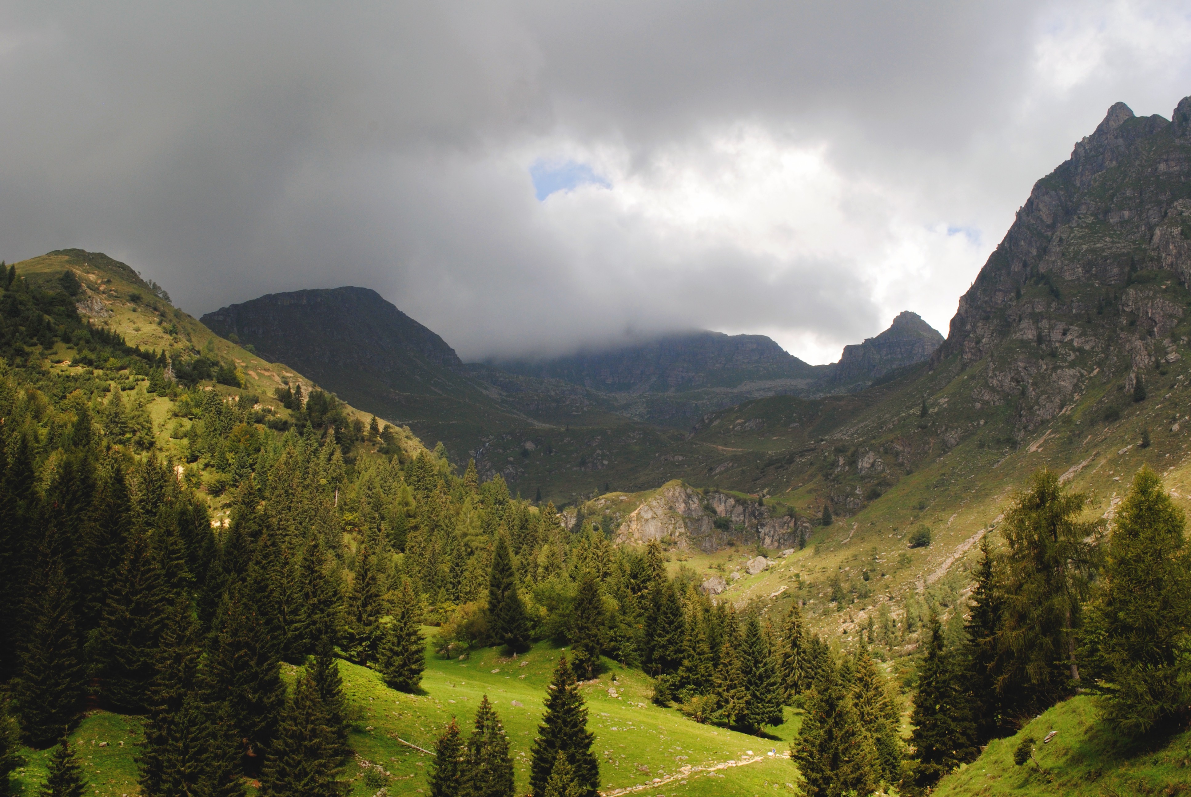 Mountain valley with pine trees and clouds HD Wallpaper