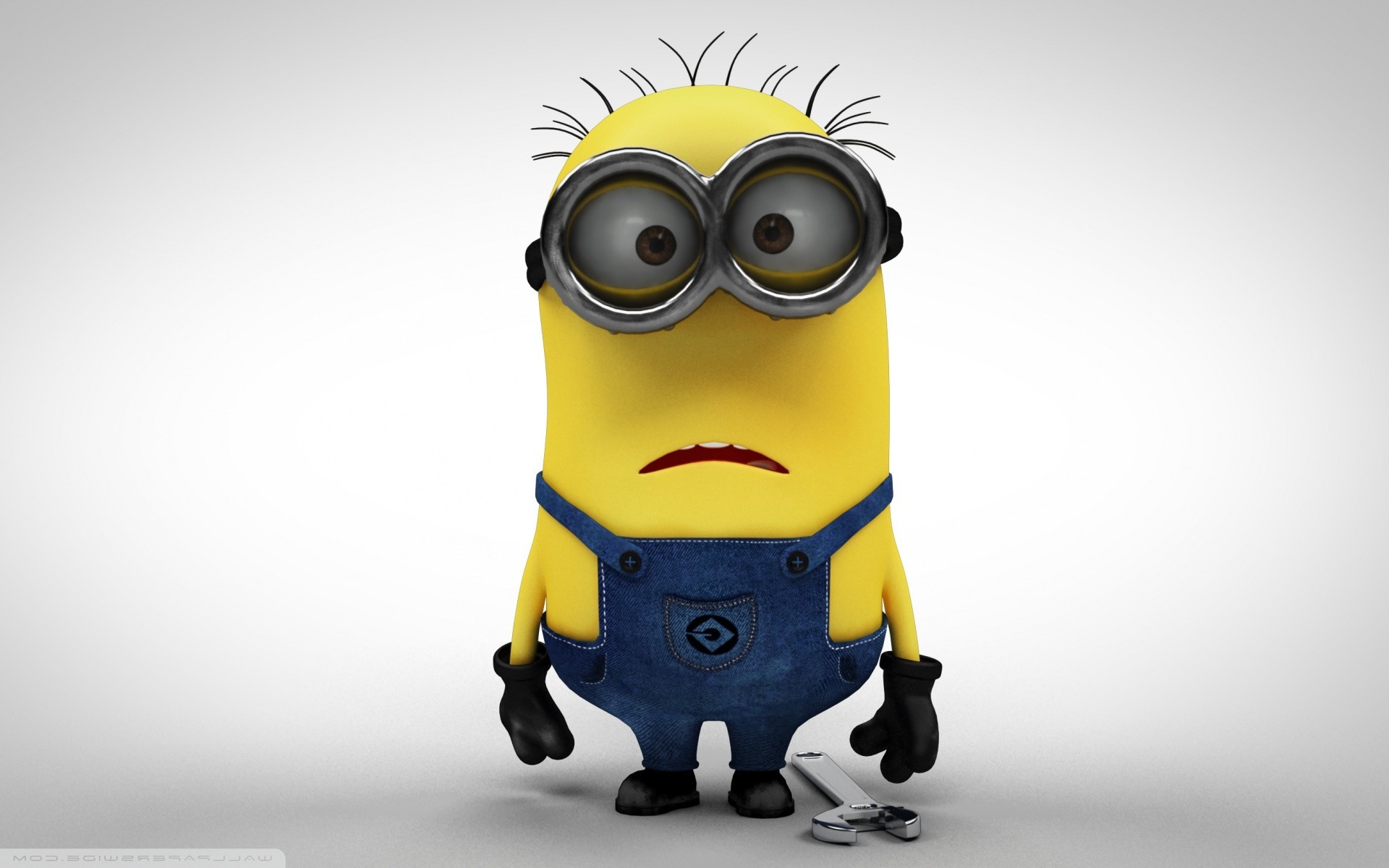 Minion from Despicable Me movies HD Wallpaper