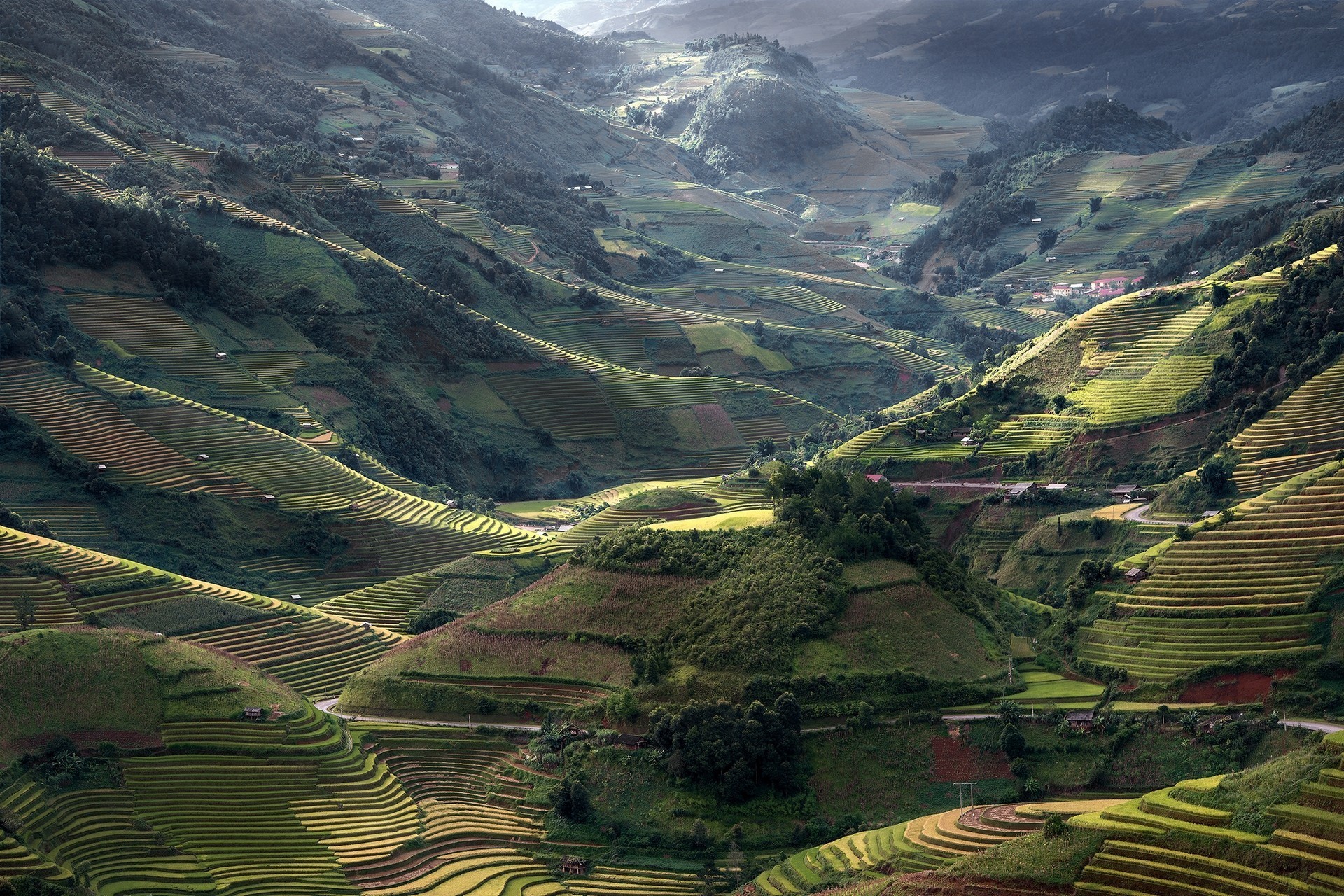 Terraced rice fields in a valley in Vietnam HD Wallpaper