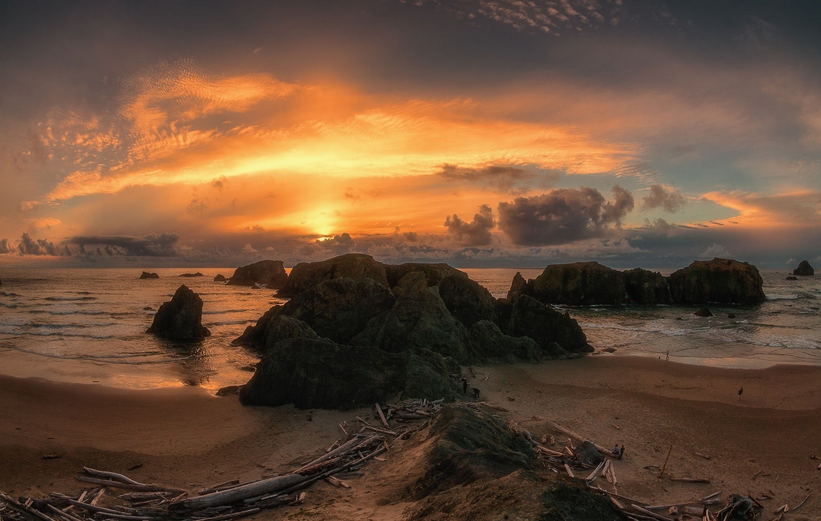 Sunset over rocky Oregon coast with driftwood HD Wallpaper