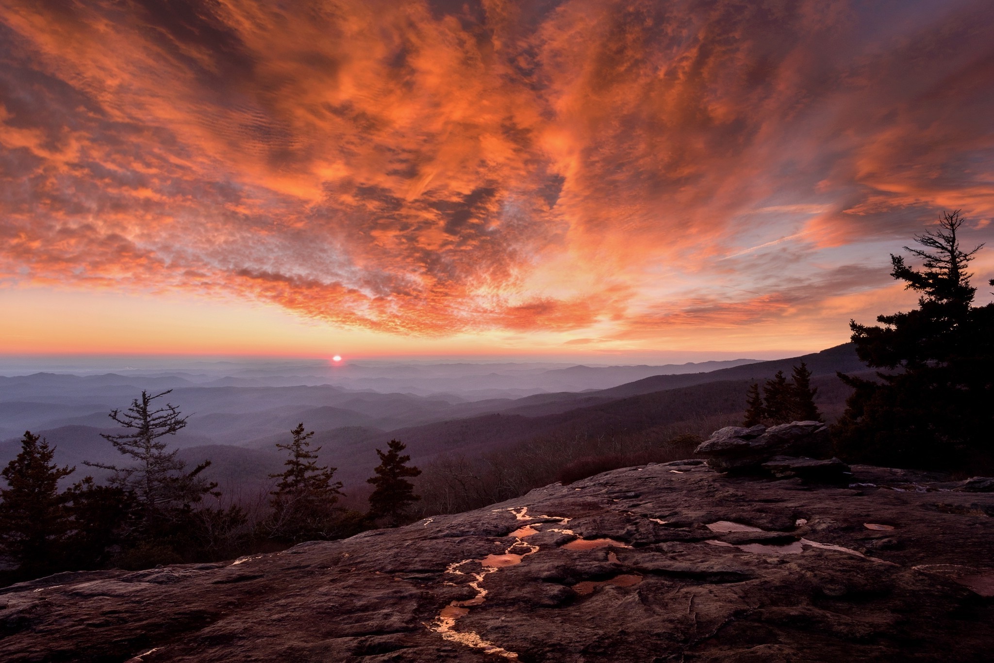 Mountain range at sunset with pink clouds and pine trees HD Wallpaper