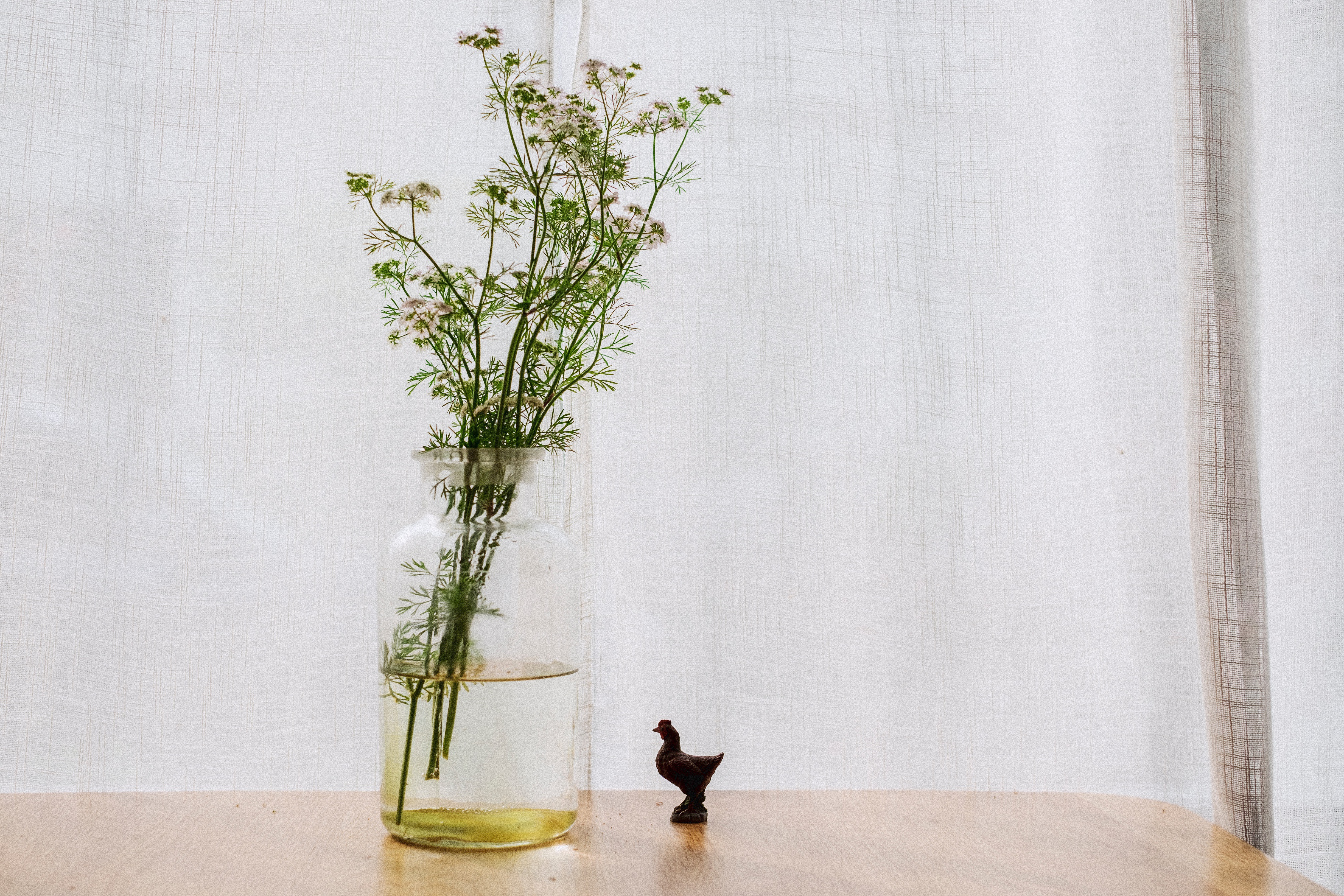 Still life with flowers and a small chicken figurine HD Wallpaper