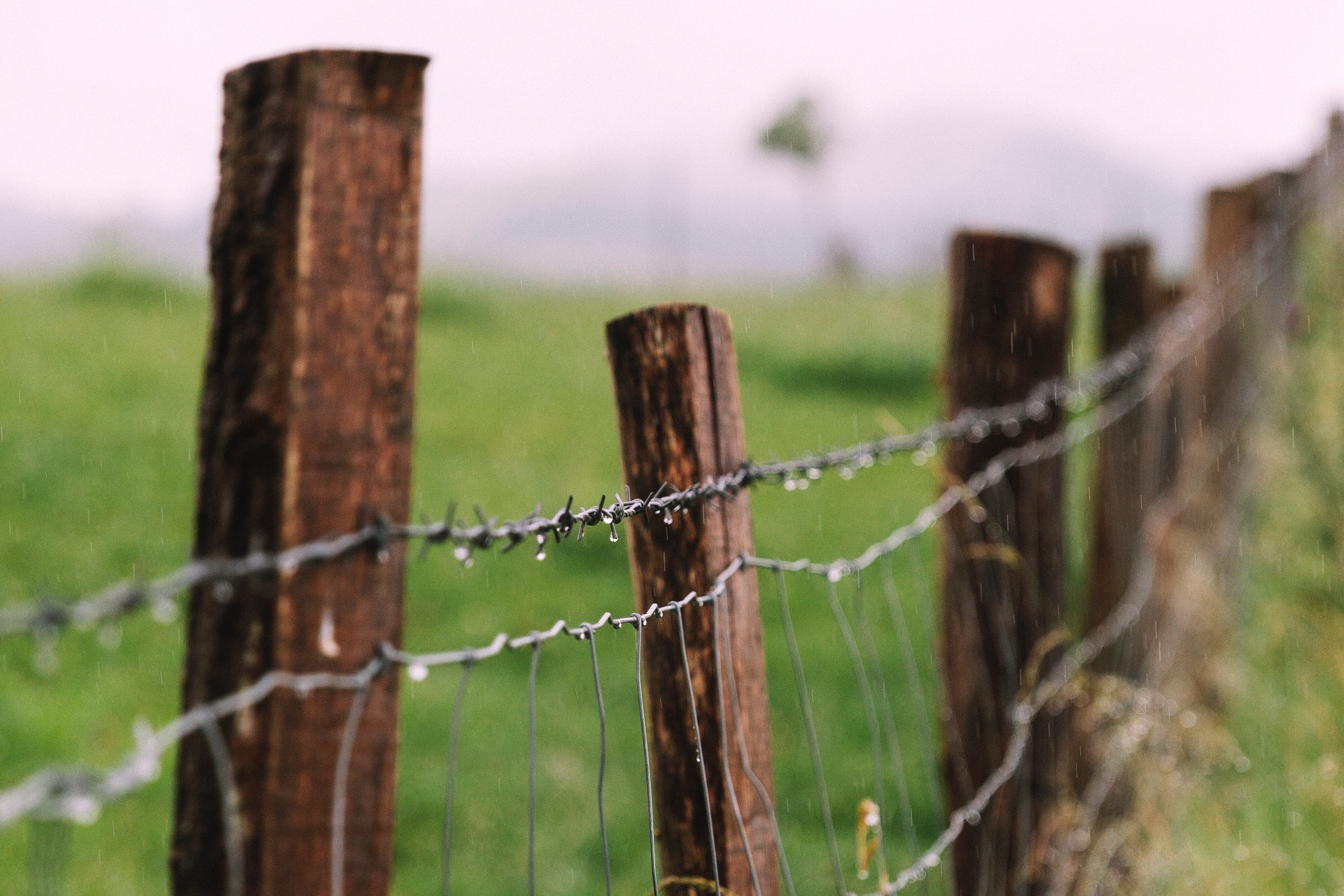 Barbed wire fence with wooden posts in the rain HD Wallpaper