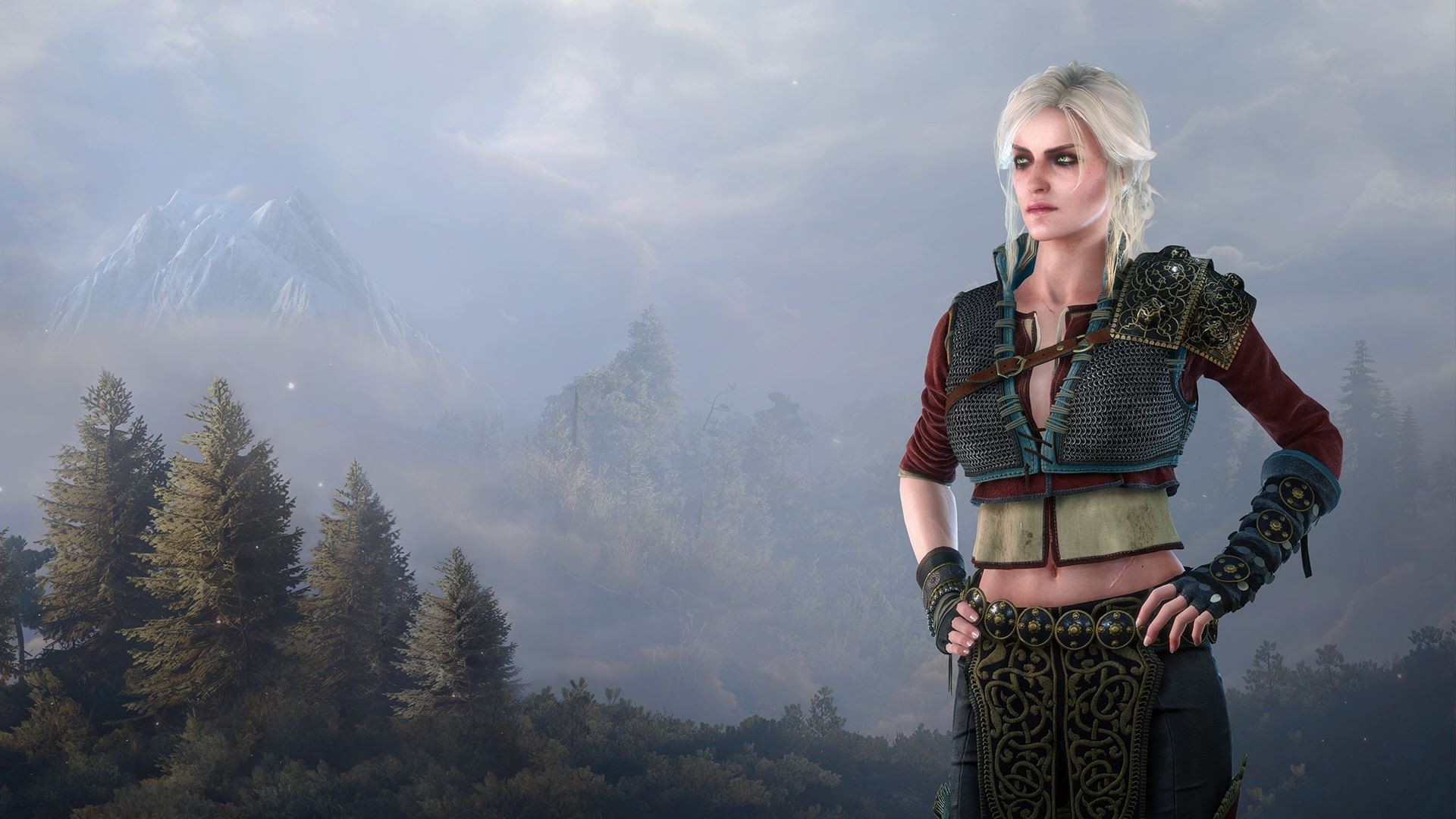 Ciri from The Witcher 3 Wild Hunt HD Wallpaper