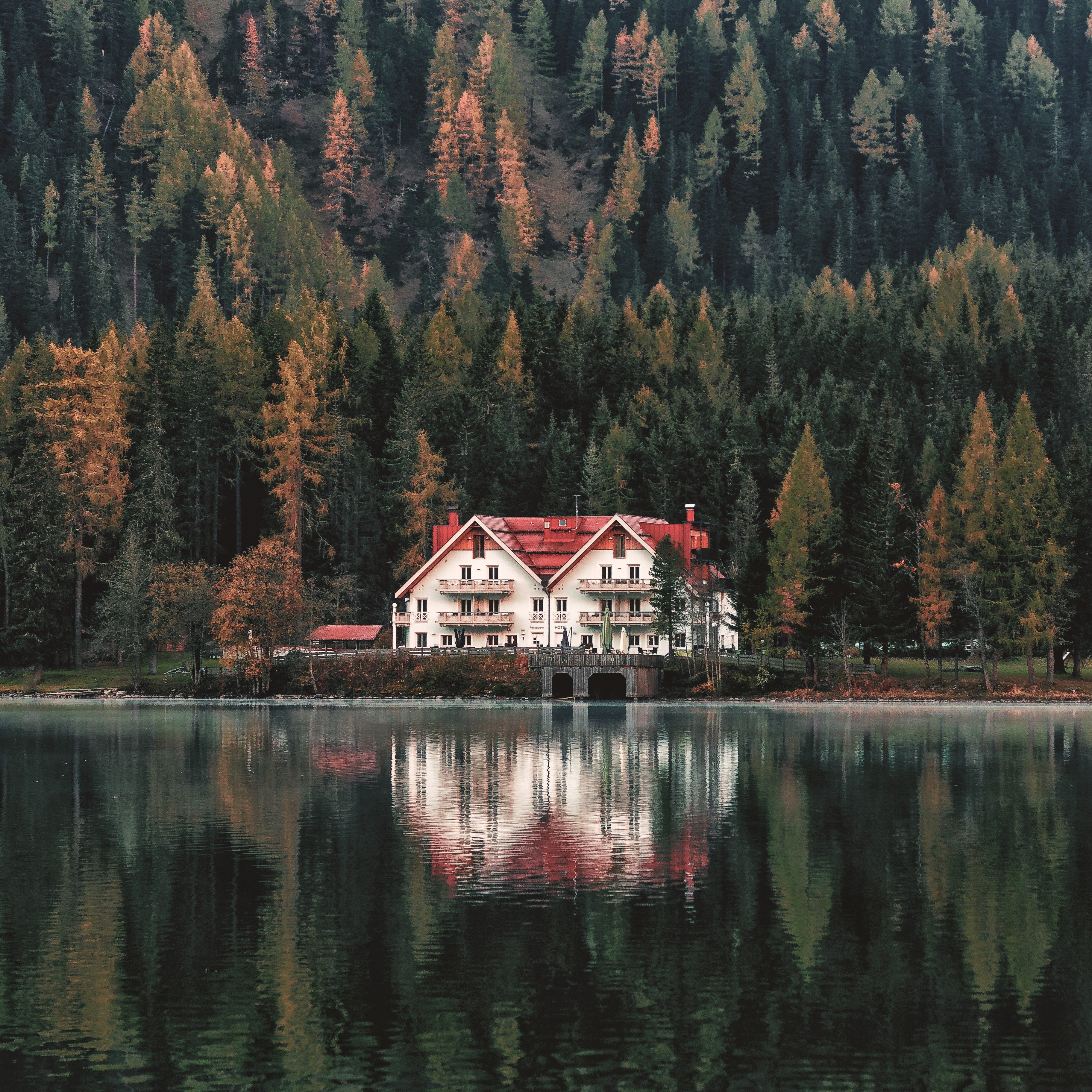 White house with red roof on a lake in autumn forest HD Wallpaper