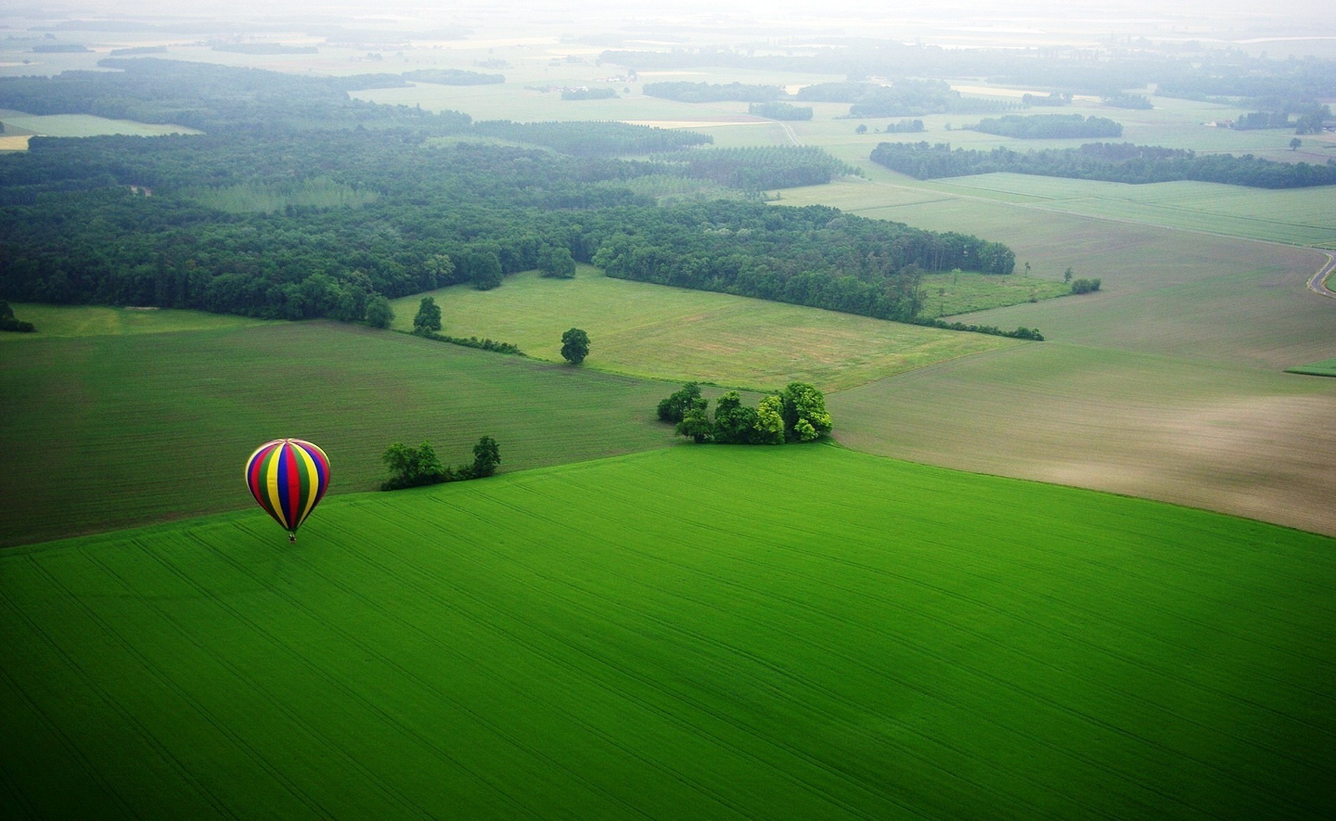 Colorful Hot Air Balloon Over Vast Green Fields HD Wallpaper