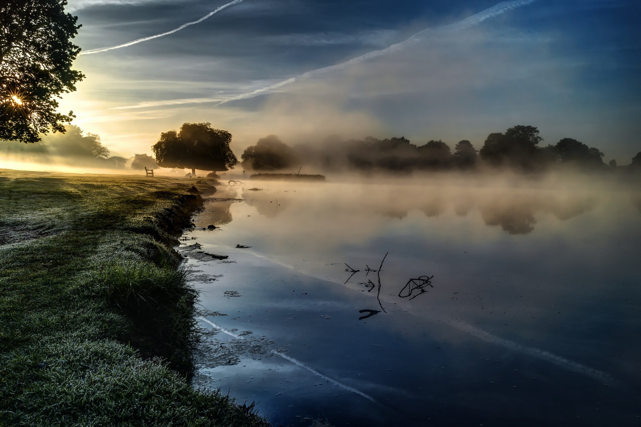 Misty lake at sunrise with trees and grass HD Wallpaper