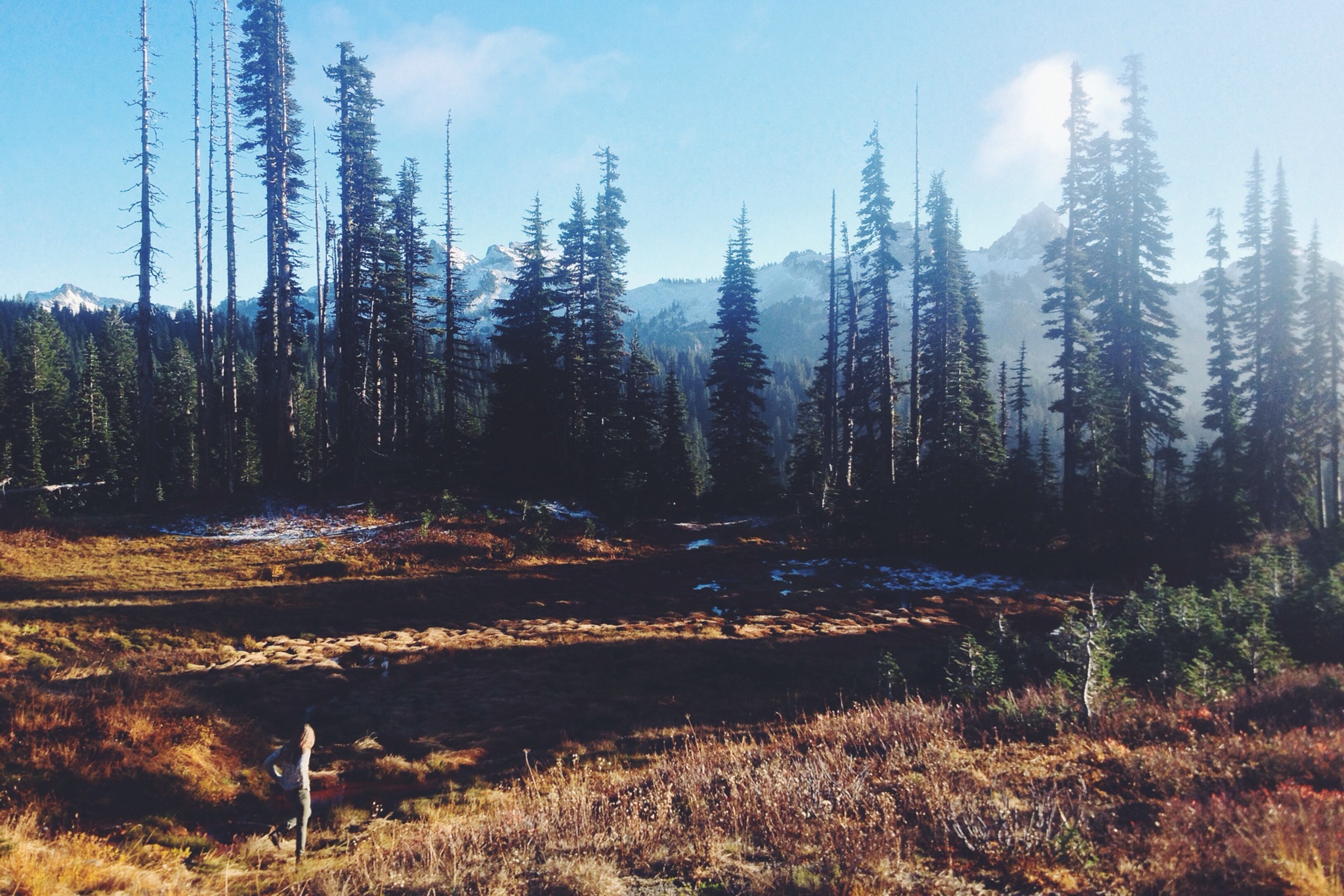 Person hiking in a mountain forest during fall HD Wallpaper