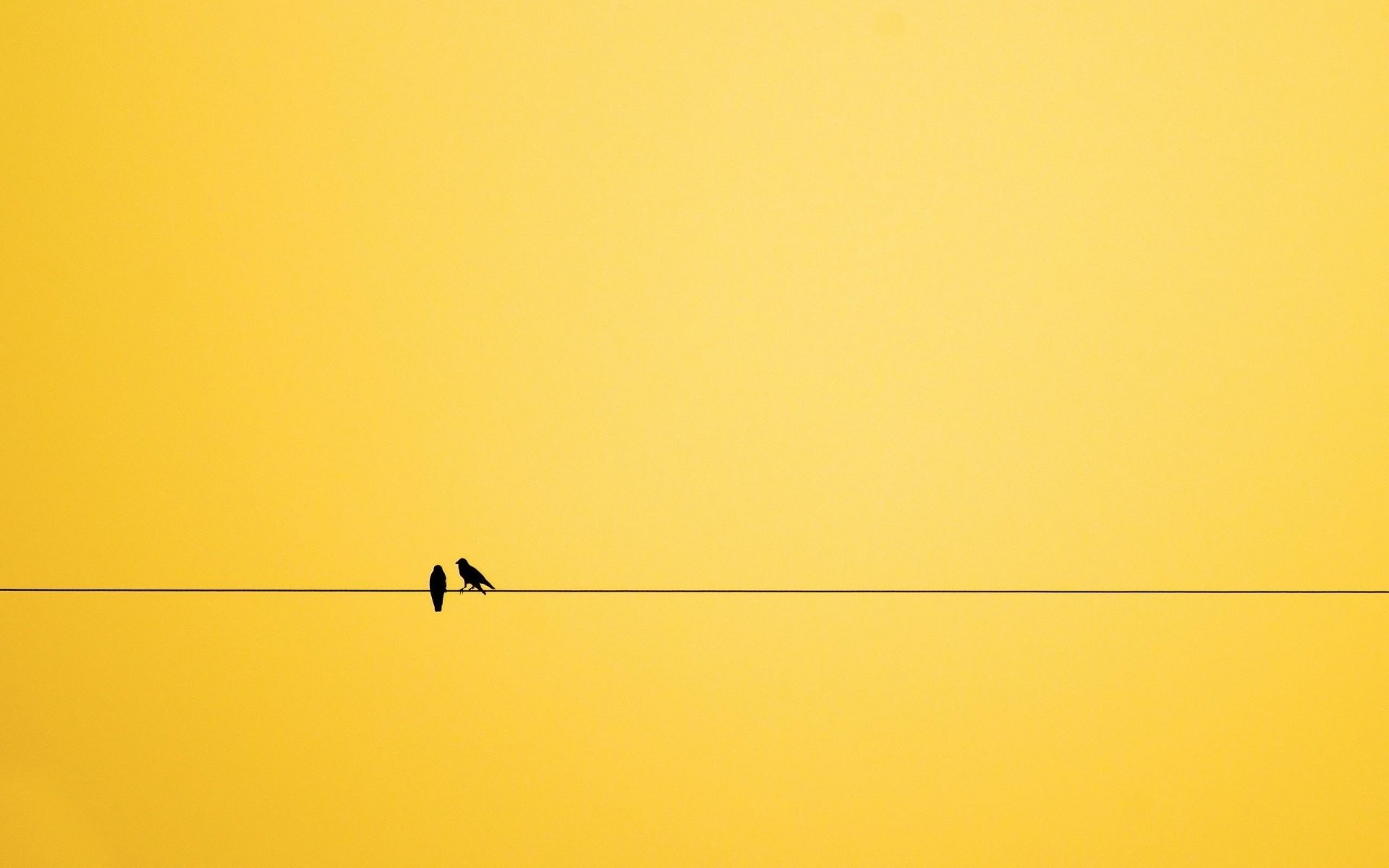 Two birds on a wire against a yellow background HD Wallpaper