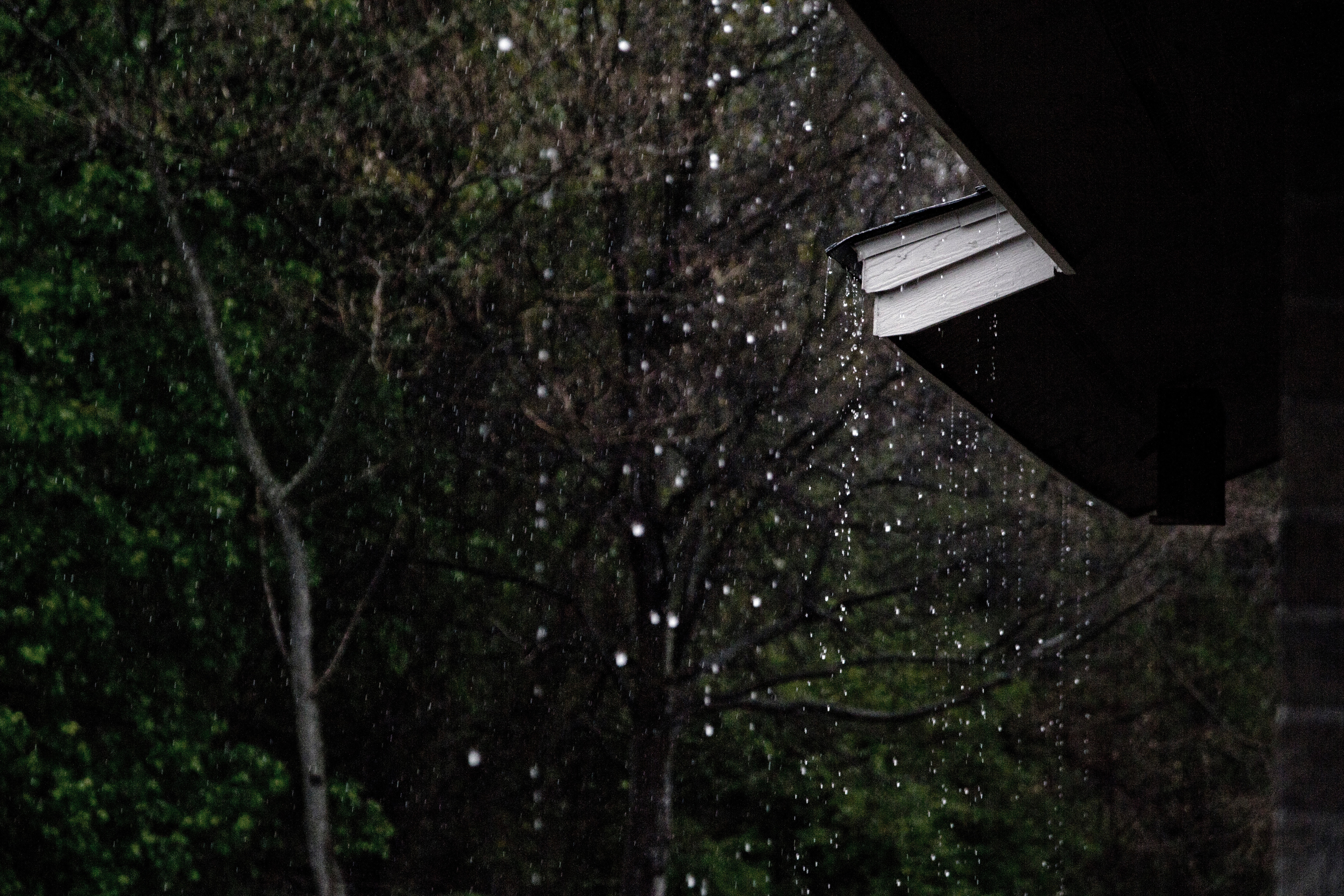 Rain falling from a house roof into a forest HD Wallpaper