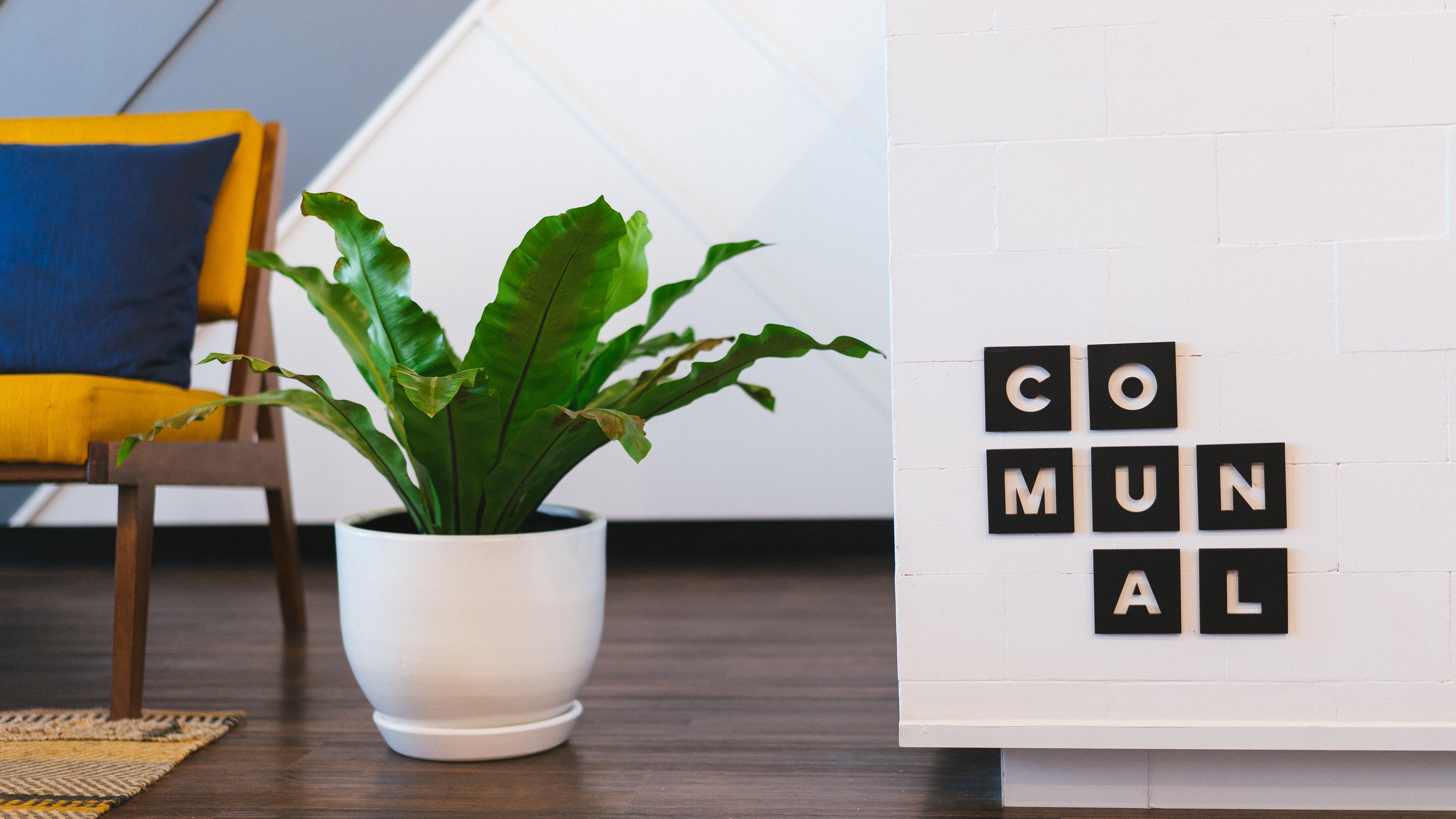 Communal sign on a white wall with a plant and chair HD Wallpaper