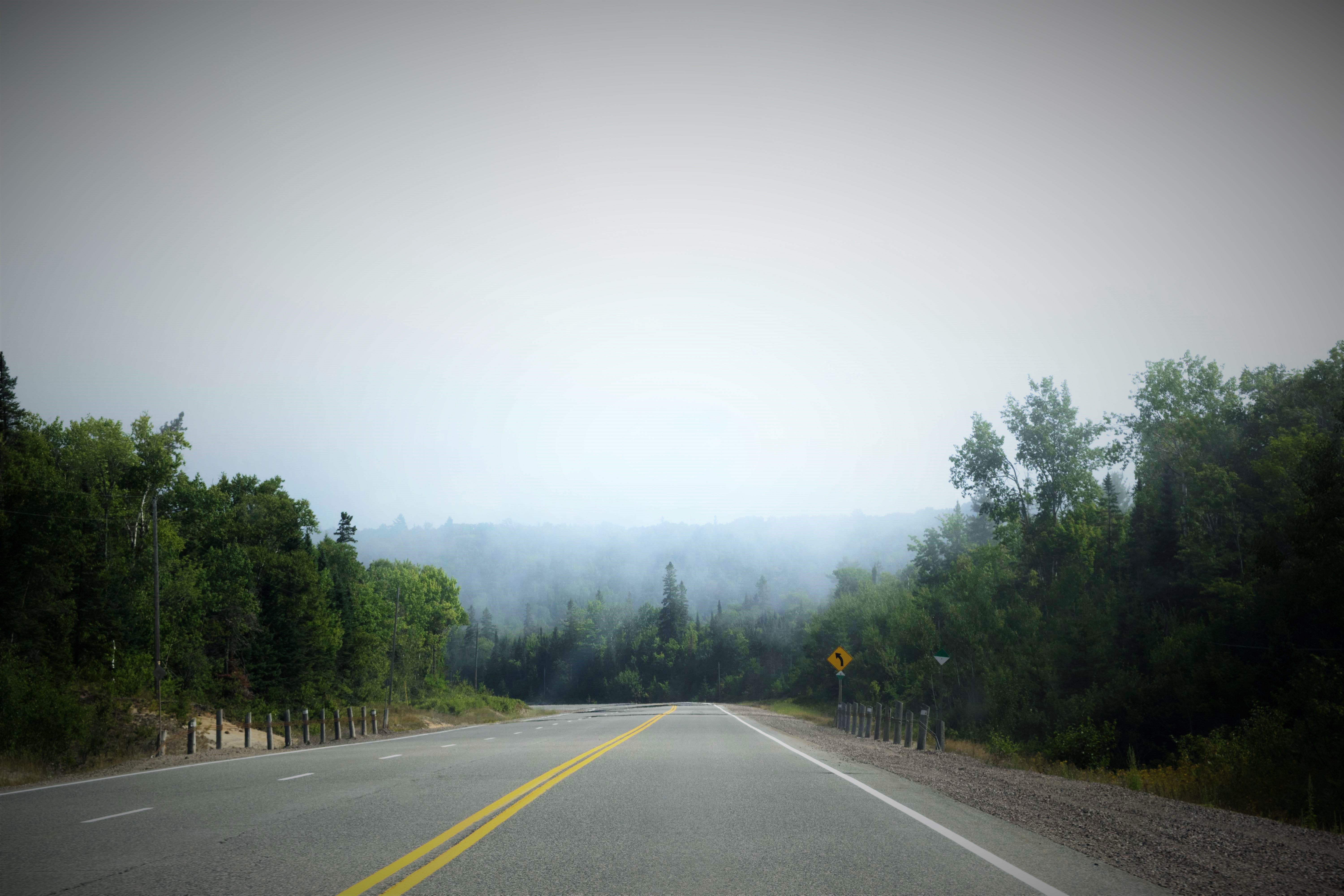 Road through a foggy forest in Canada HD Wallpaper