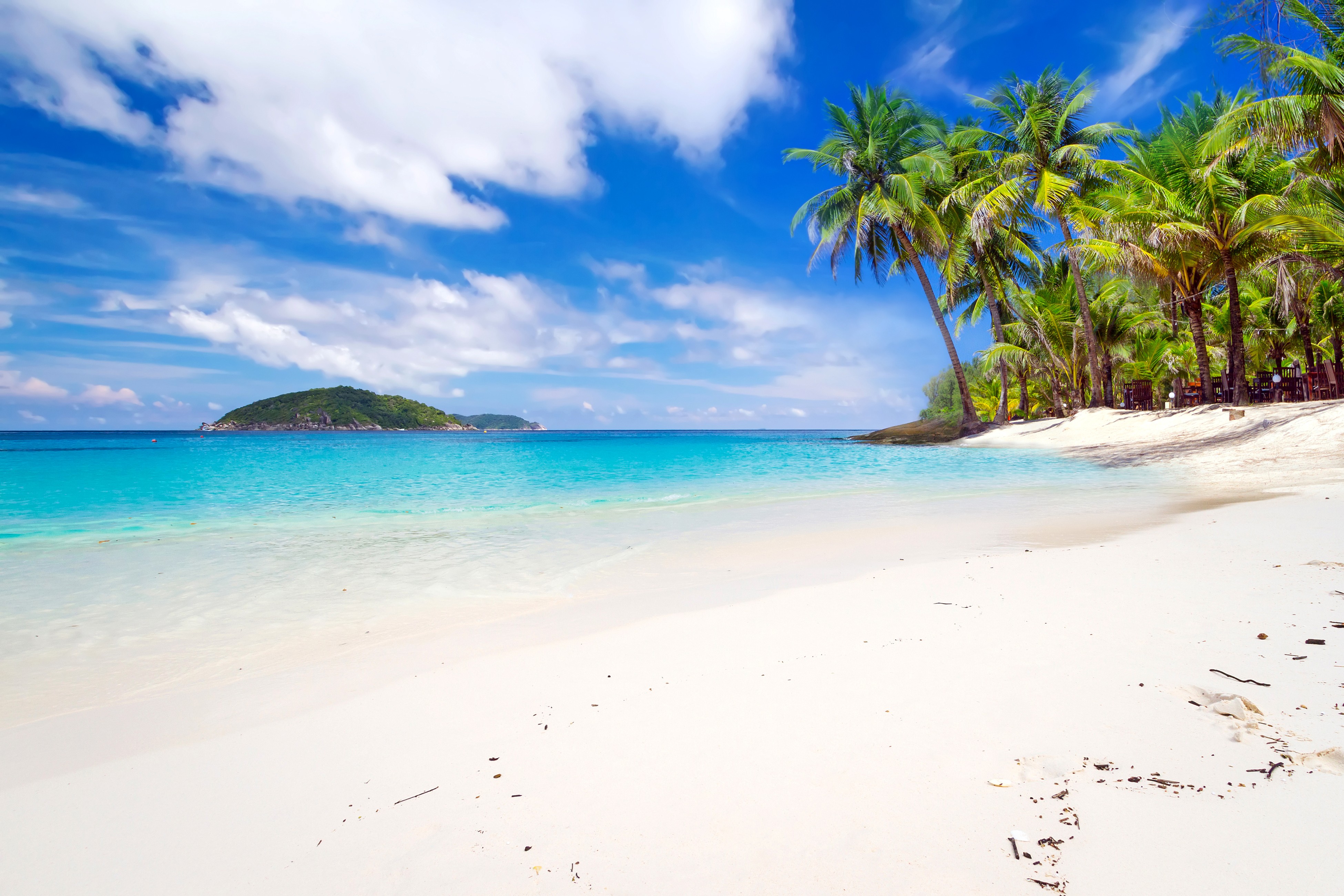 Tropical Beach with Palm Trees in Thailand HD Wallpaper