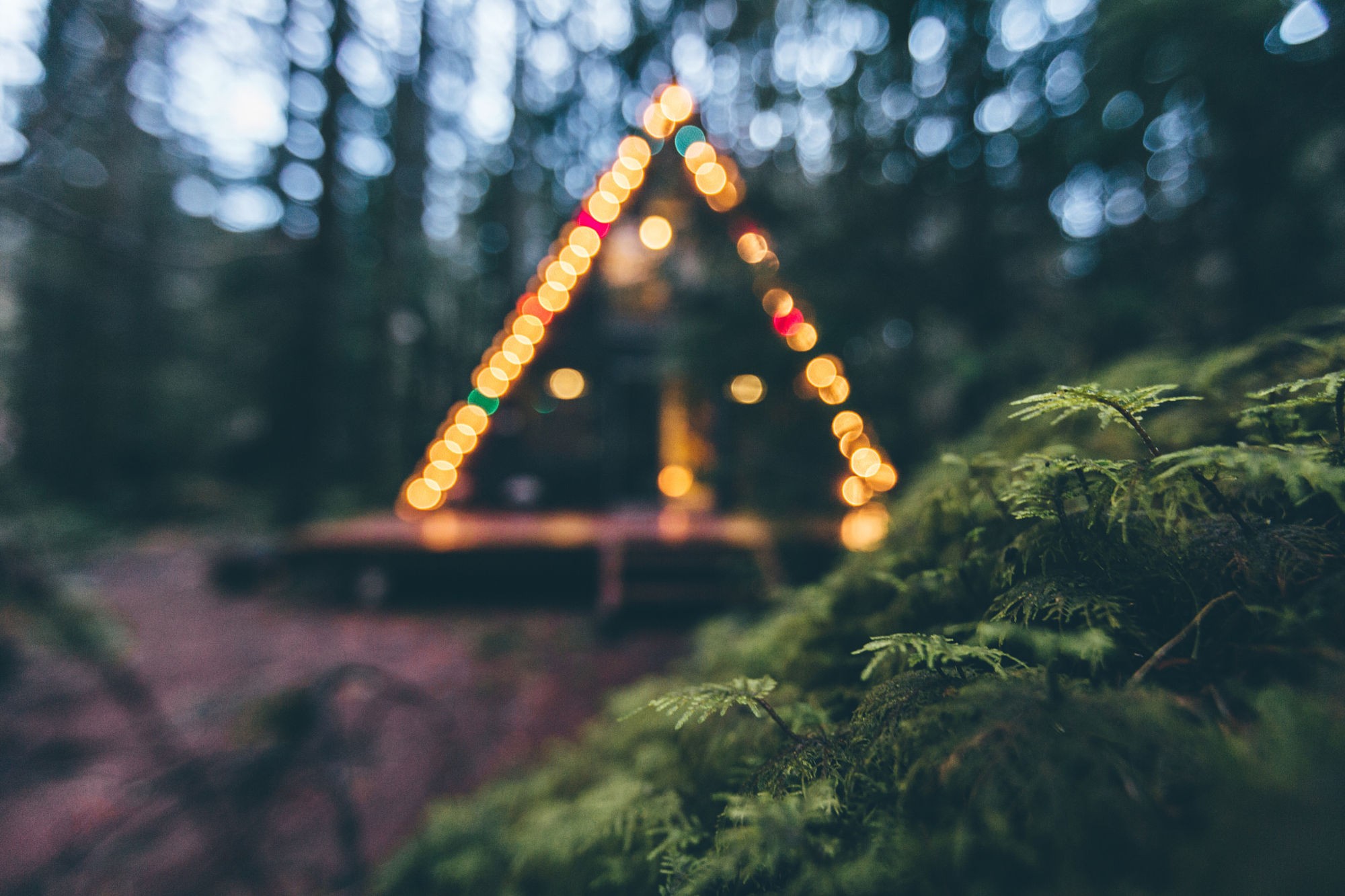 A-frame tent decorated with string lights in a forest HD Wallpaper