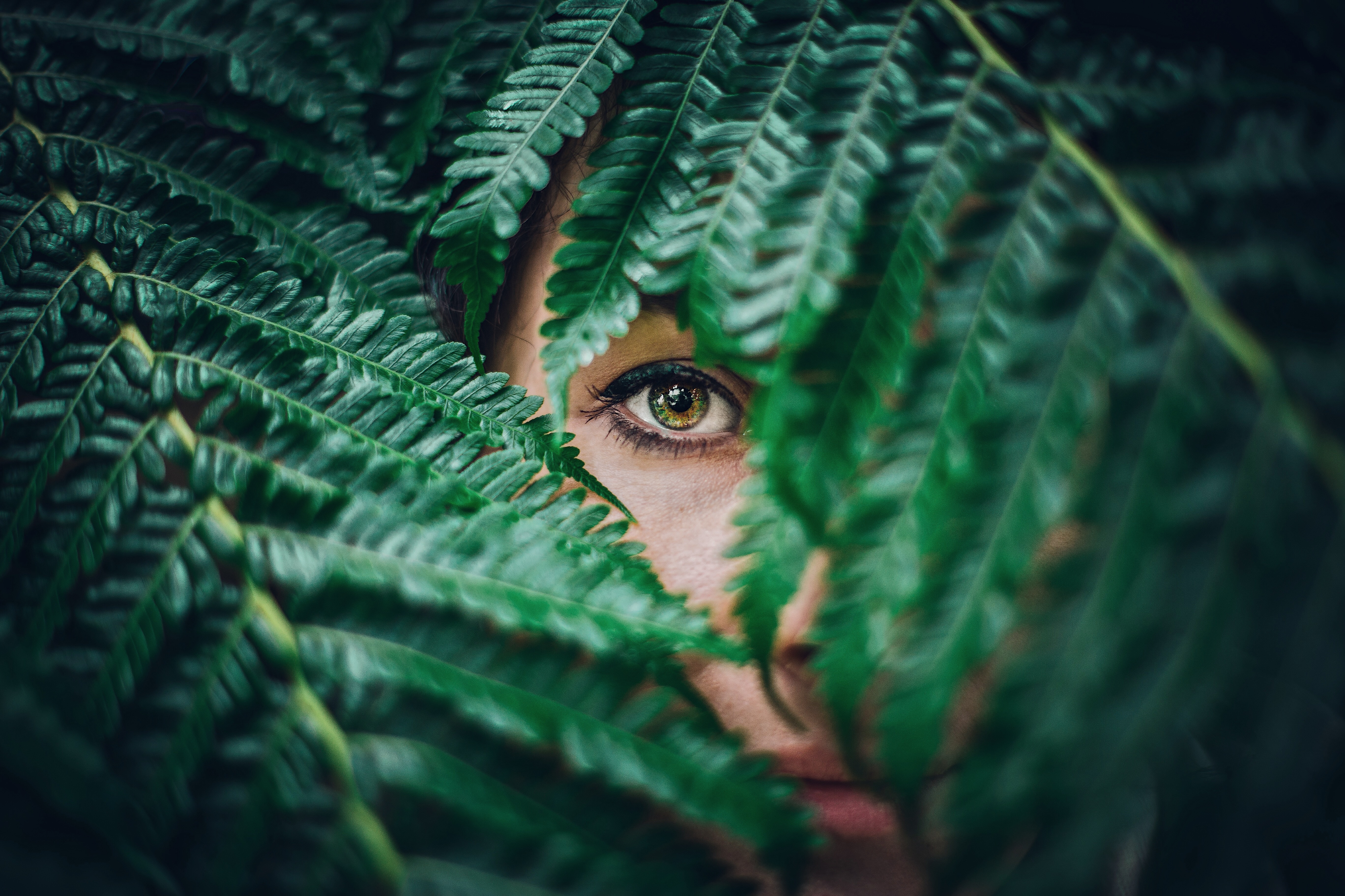Woman's eye peeking through green fern leaves HD Wallpaper