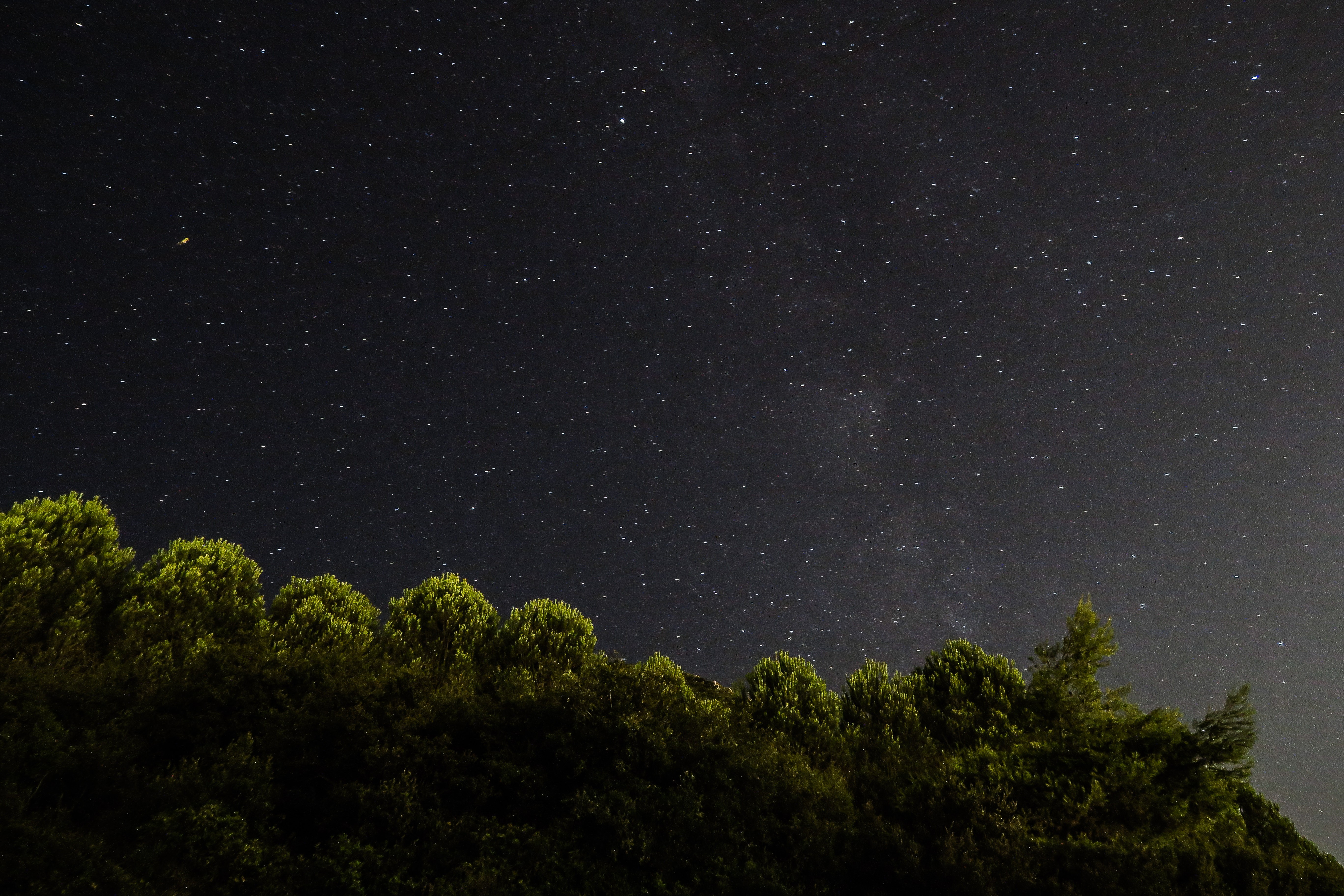 Night sky full of stars over a forest HD Wallpaper