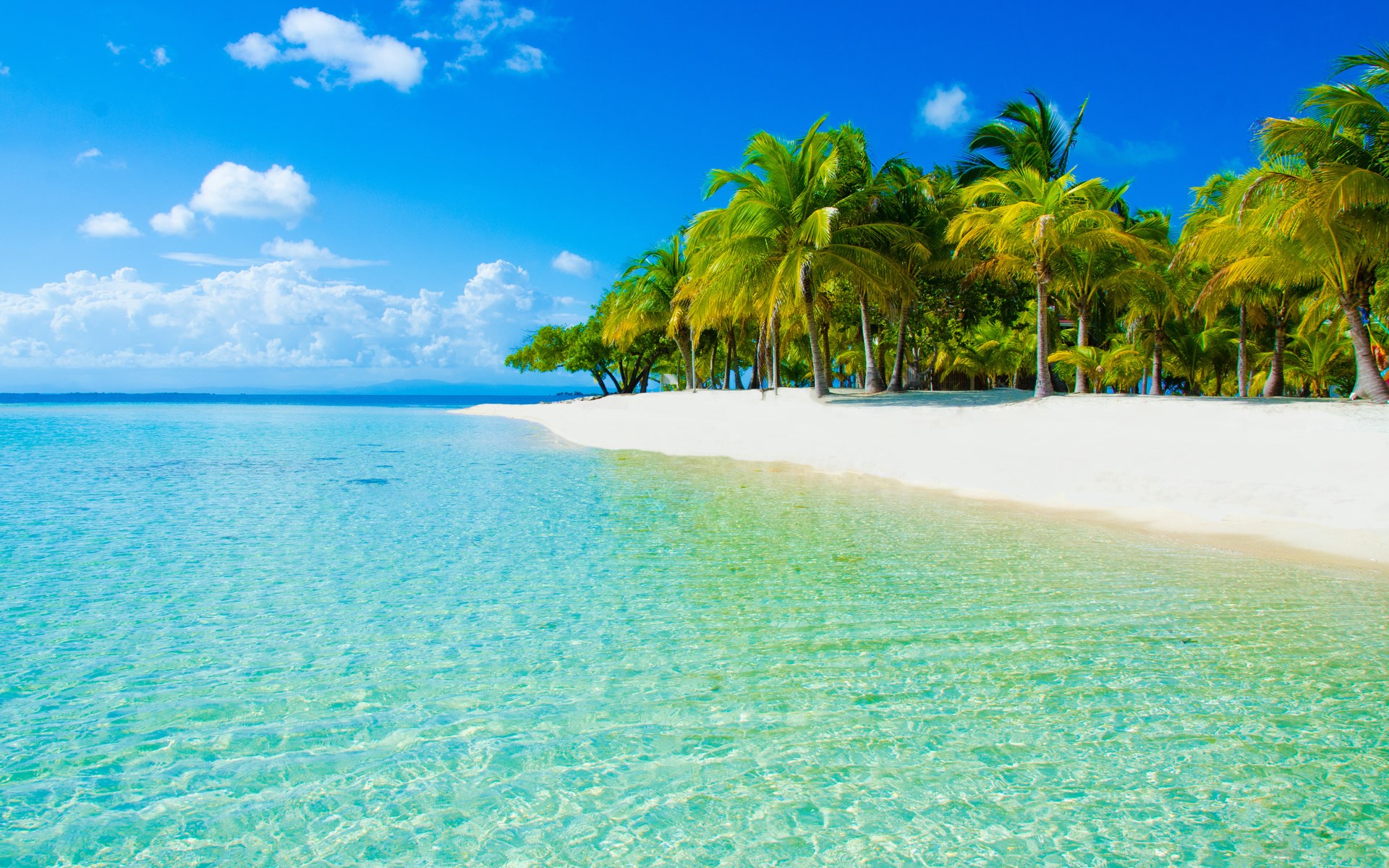 Tropical beach with palm trees and clear blue water HD Wallpaper