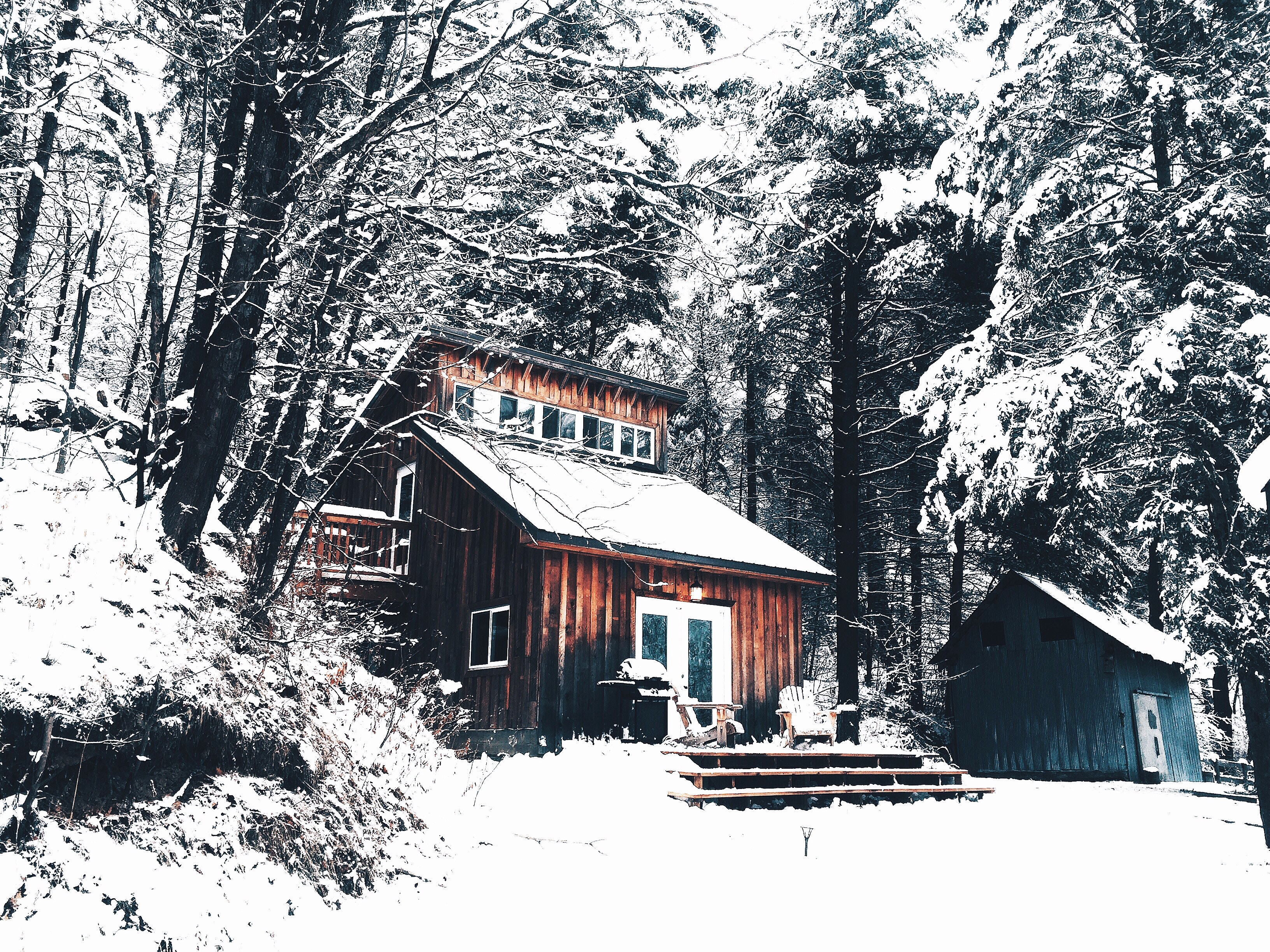 Wooden cabin in a snowy forest HD Wallpaper