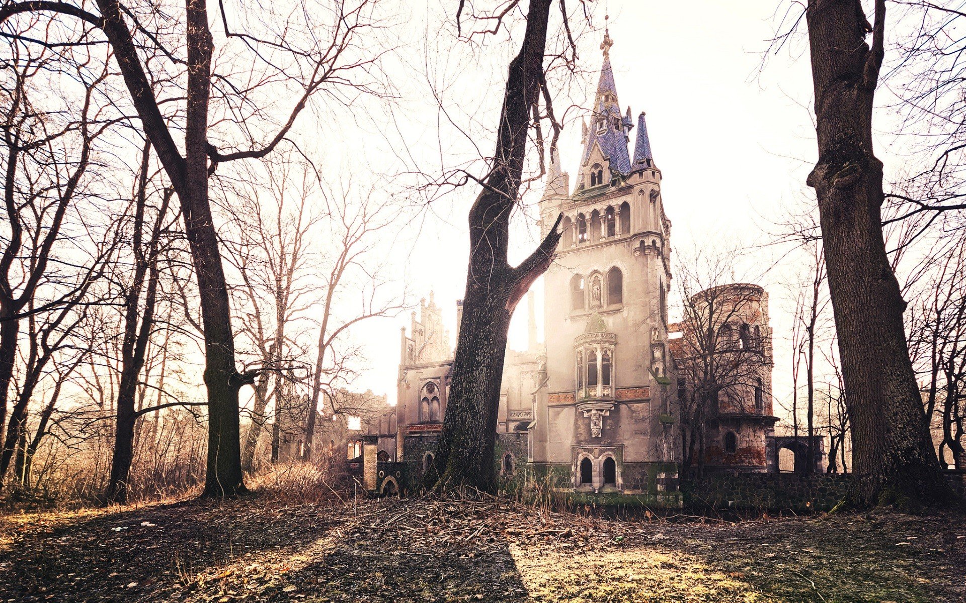 Abandoned gothic castle surrounded by trees HD Wallpaper