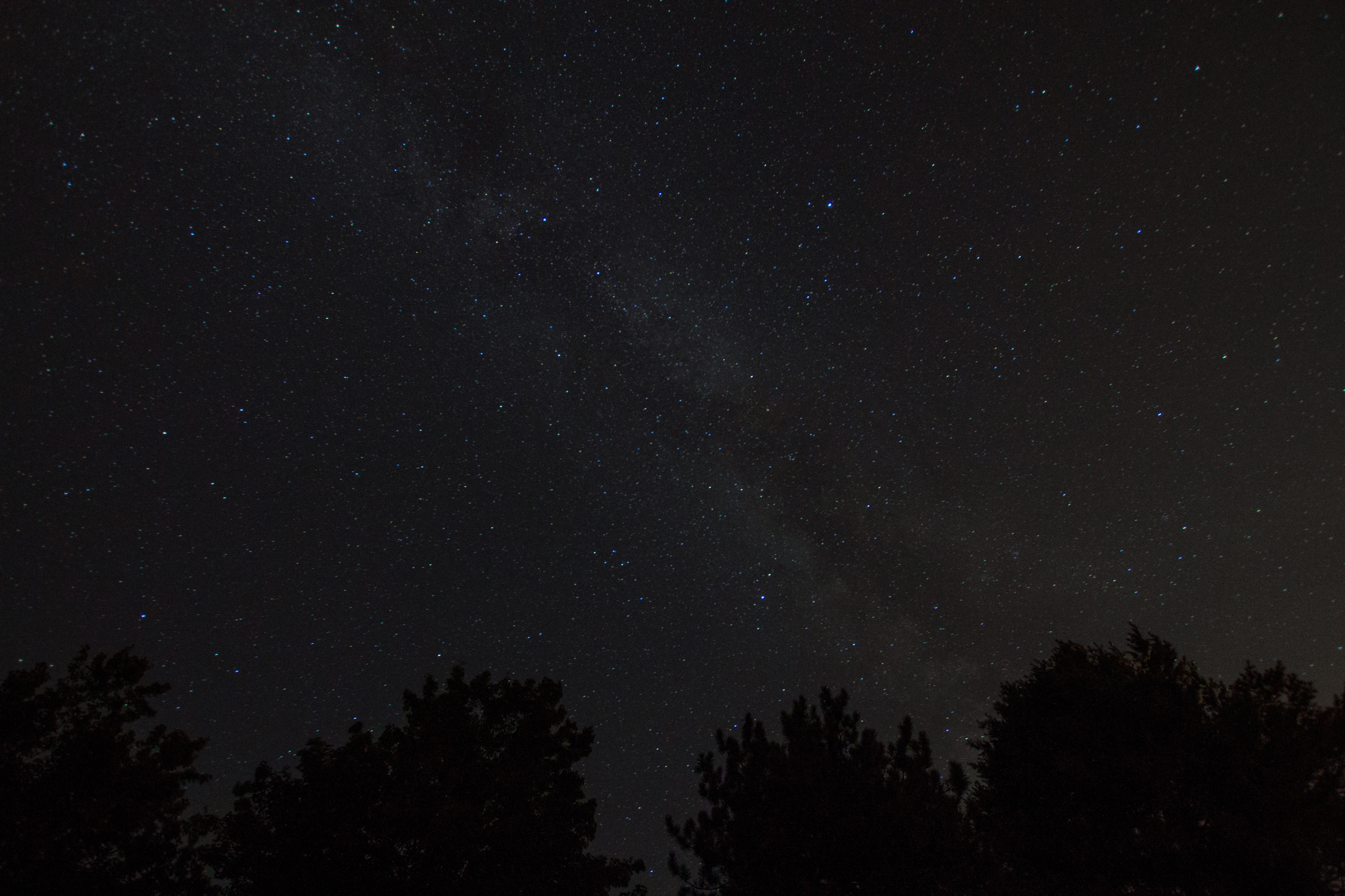 Night sky with Milky Way and tree silhouettes HD Wallpaper