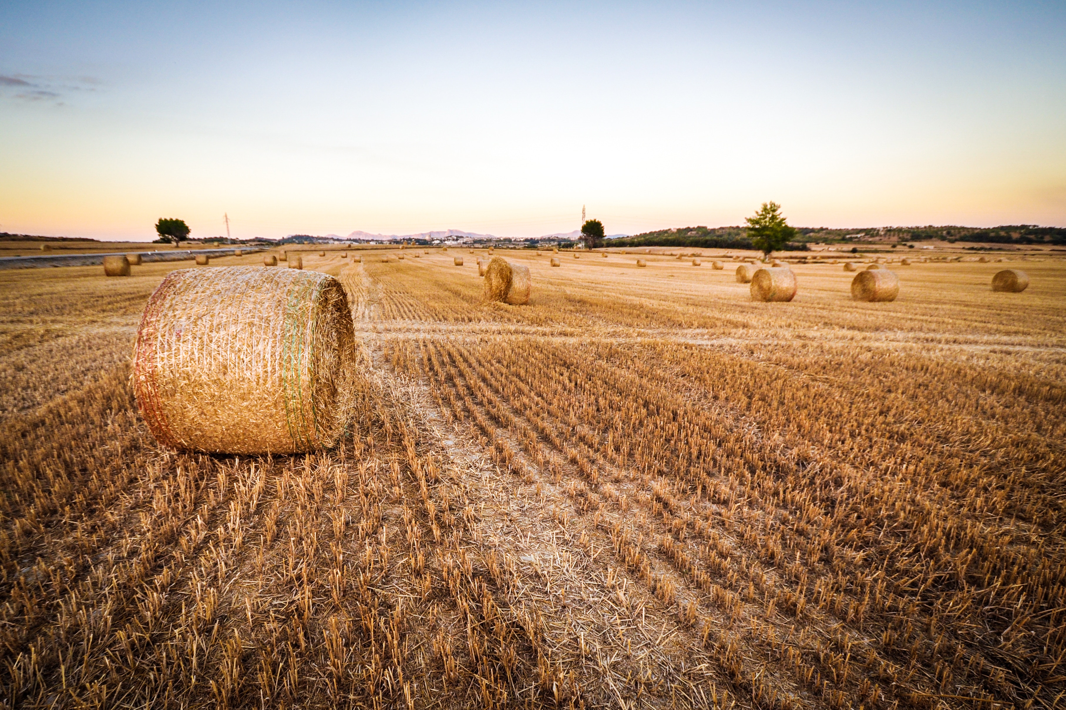 Hay bales in a harvested wheat field at sunset HD Wallpaper