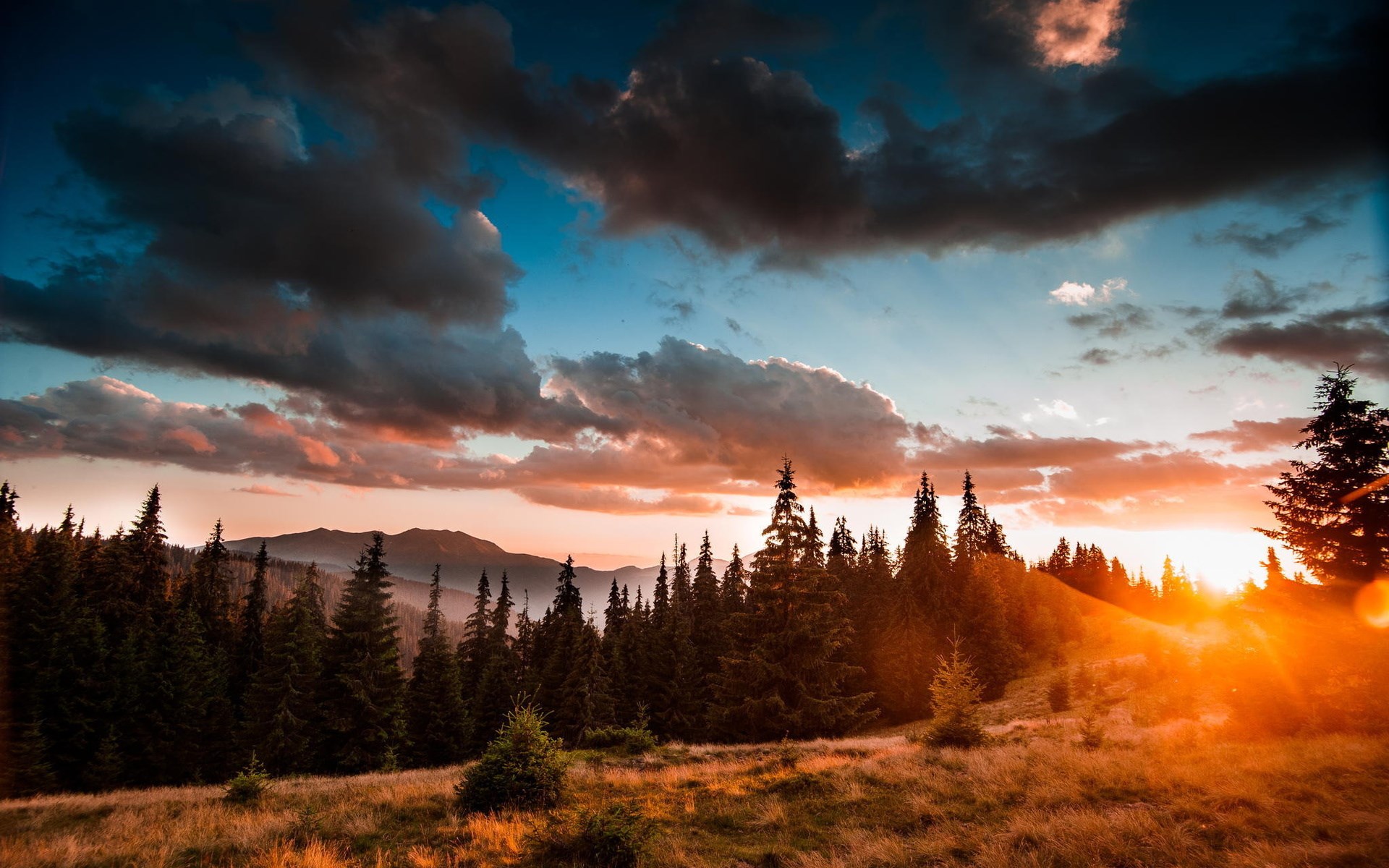 Sunset over a pine forest and mountains HD Wallpaper
