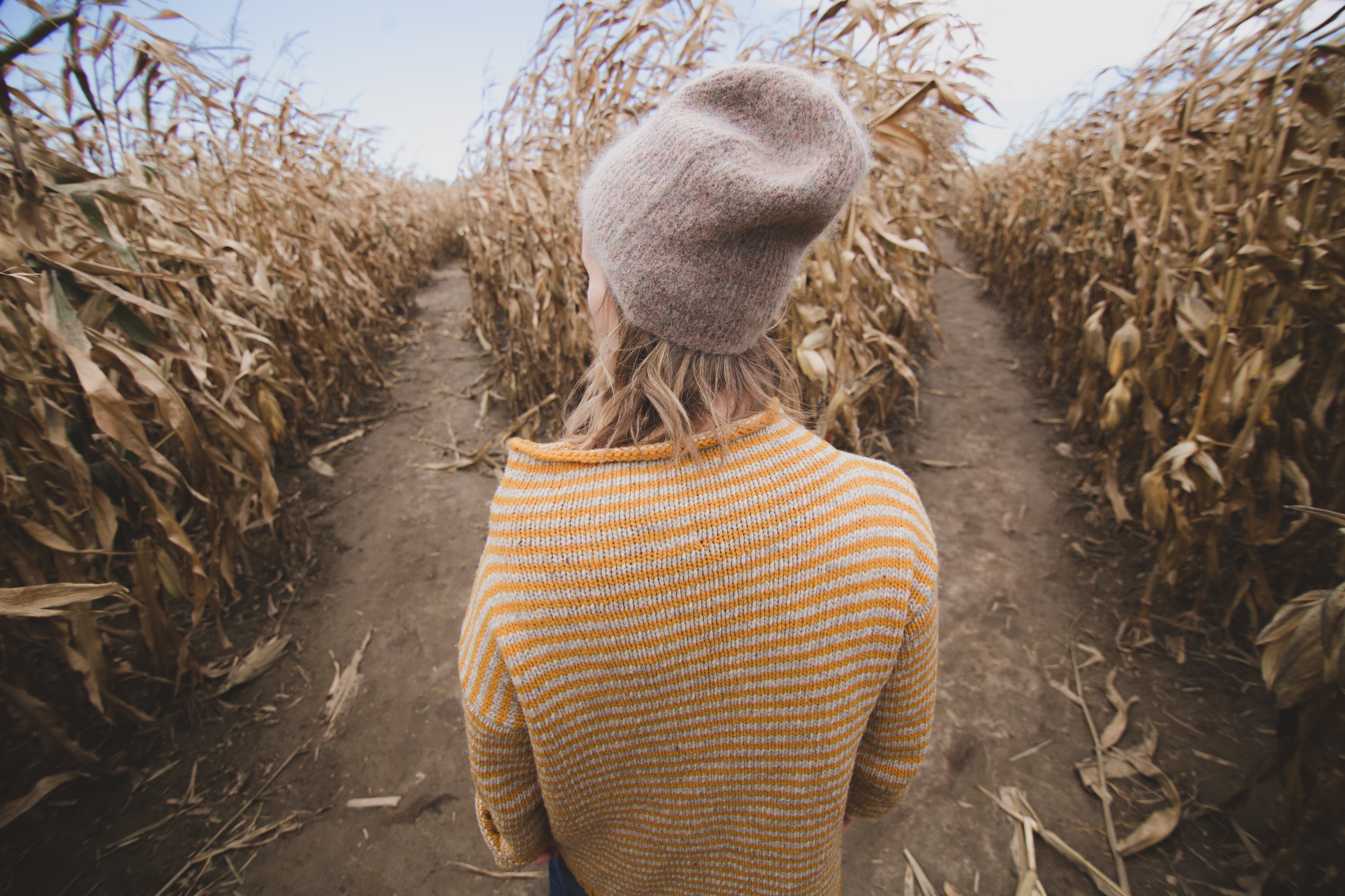 Woman in a corn maze at a fork in the road HD Wallpaper