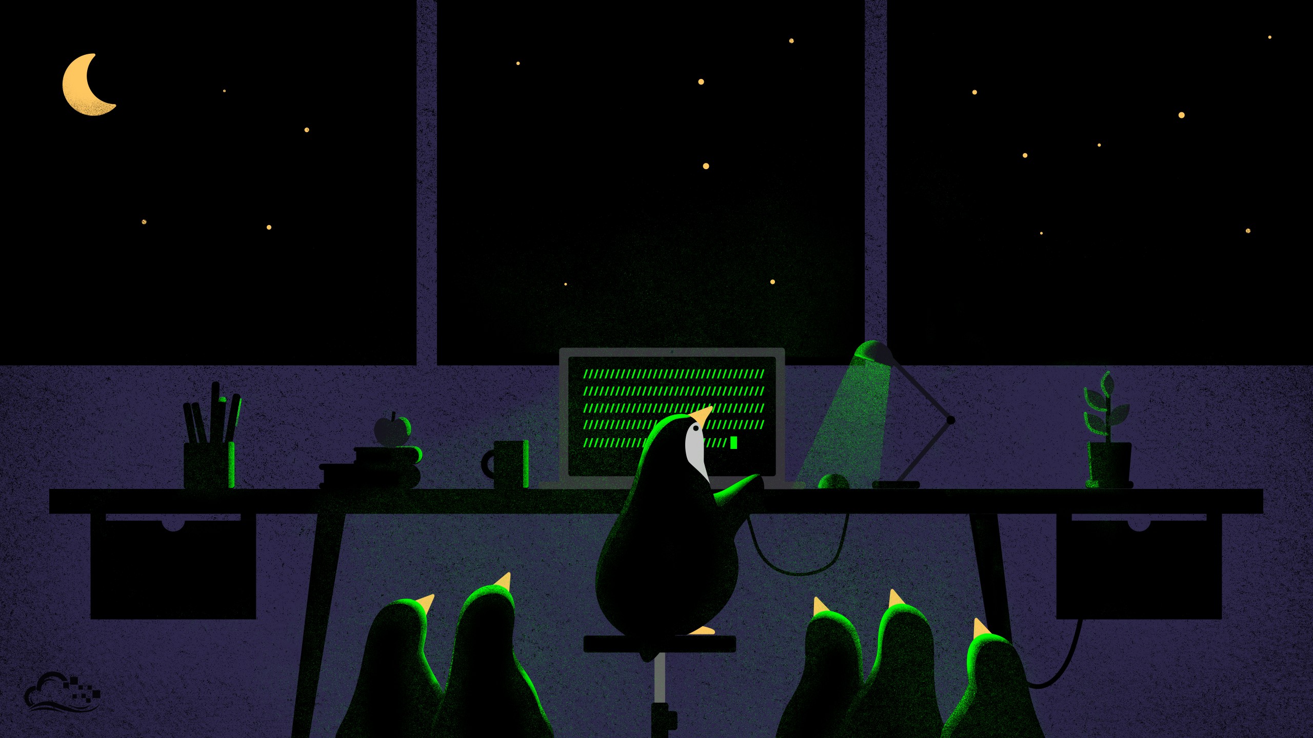 Penguins watching a computer at night HD Wallpaper