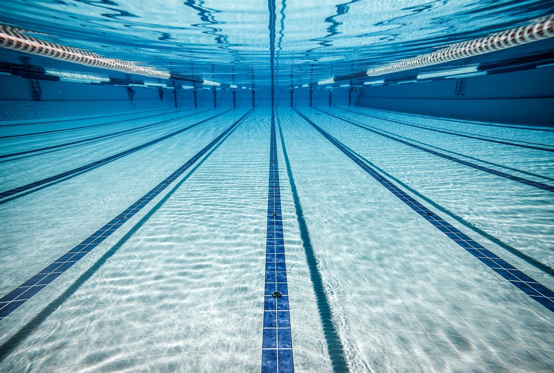 Underwater view of a swimming pool with lanes HD Wallpaper
